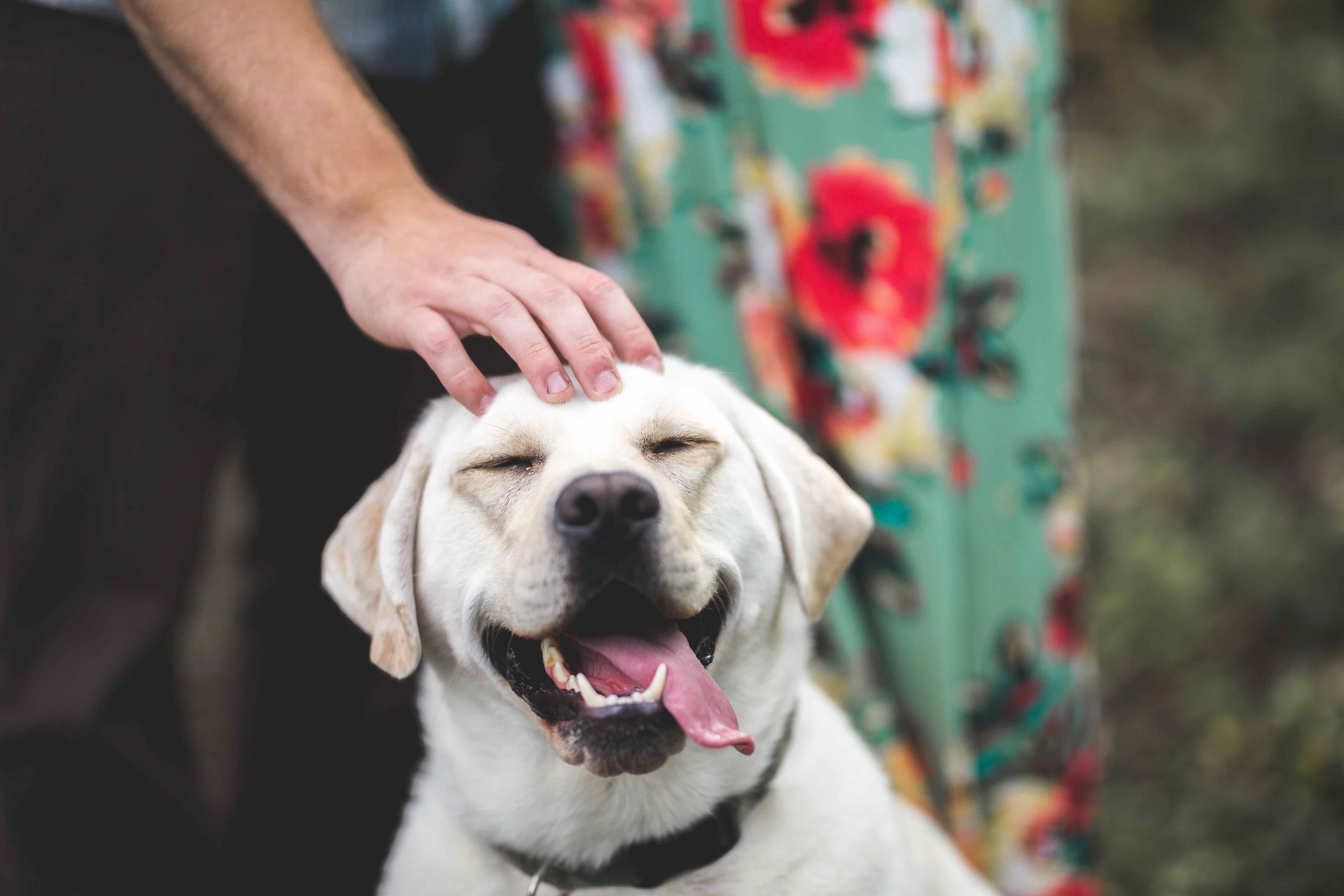 Engagement Photos (3 of 151).jpg