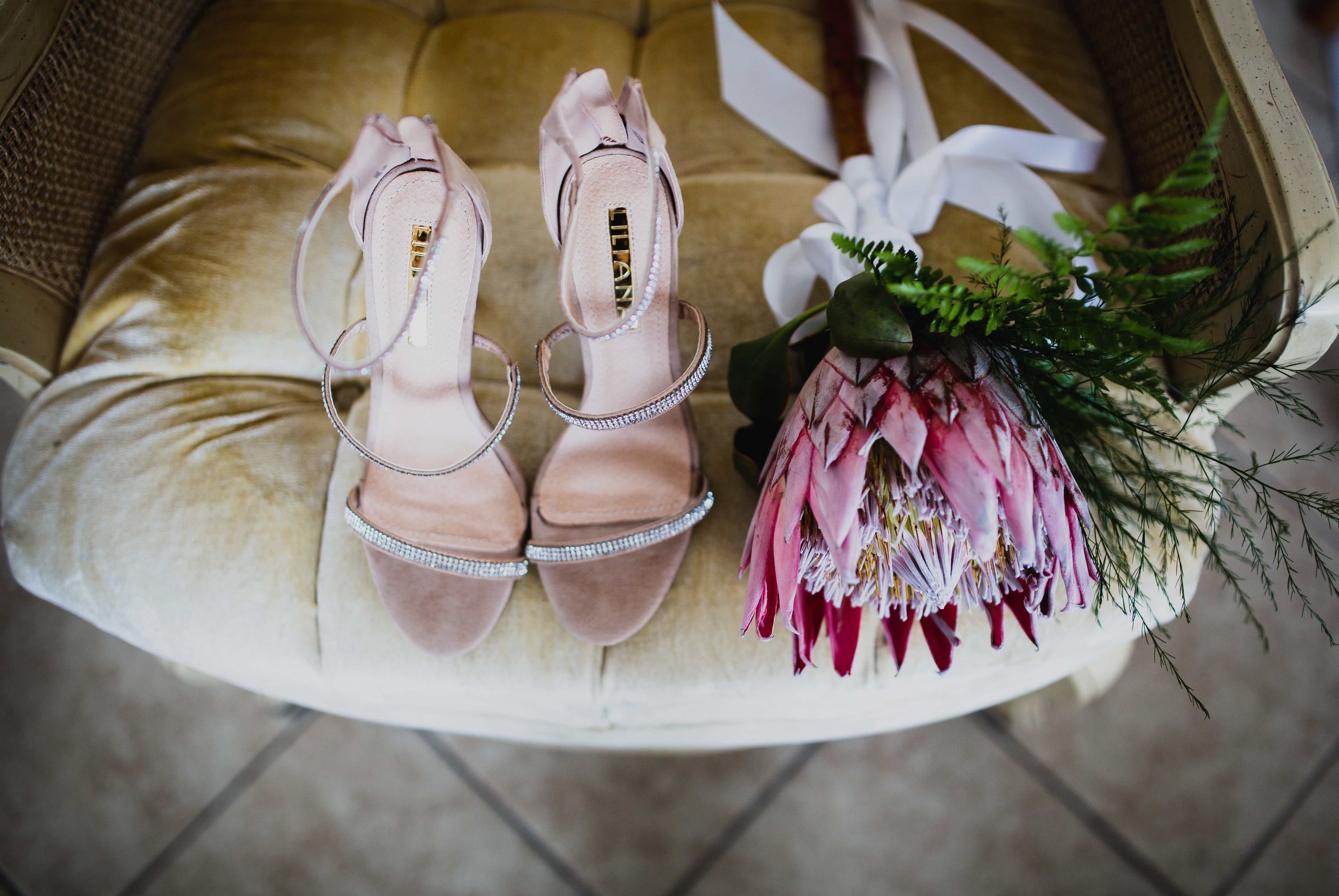 RACINE- WEDDING - BRANCH-1501-14.jpg
