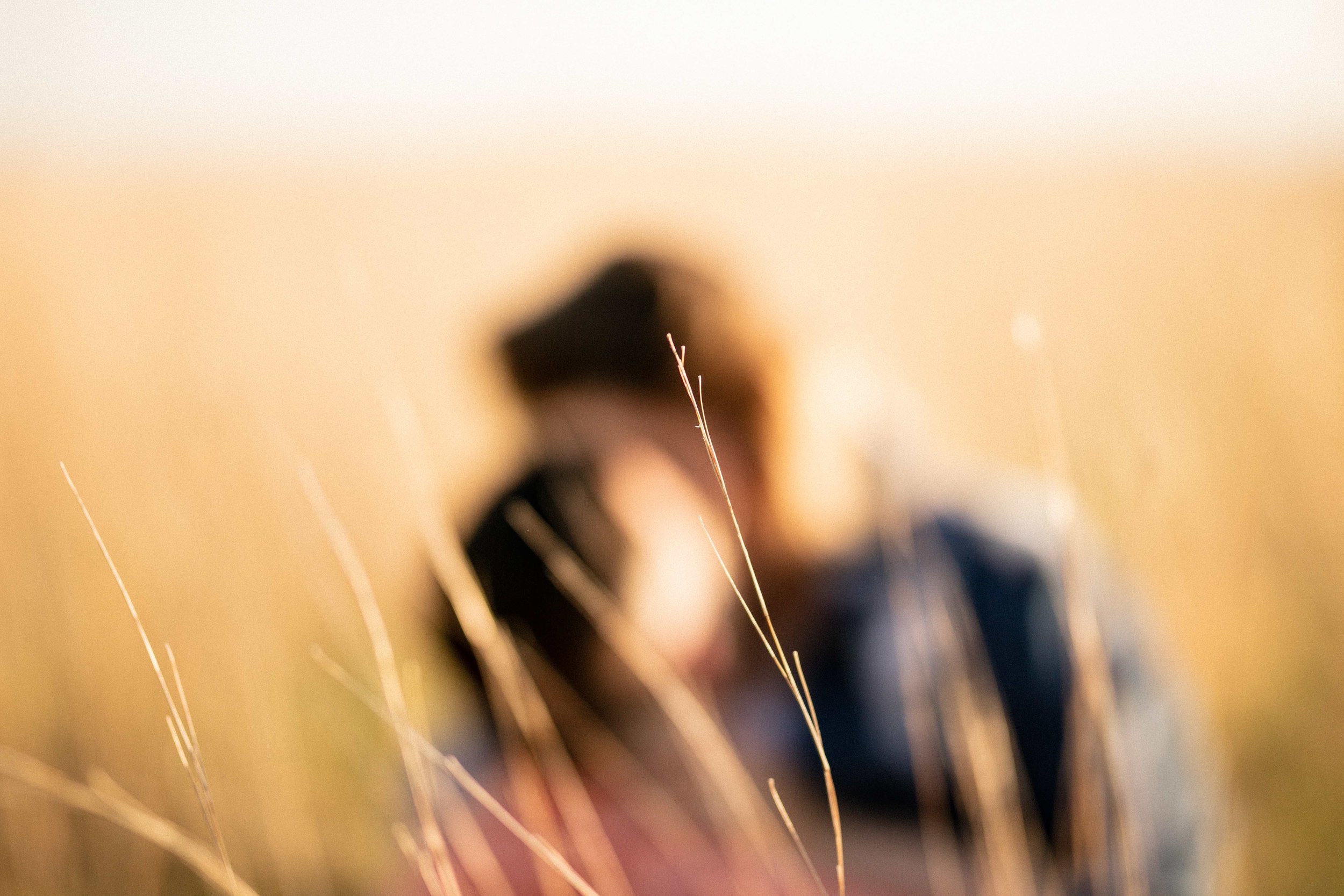 WISCONSIN FAMILY PHOTOGRAPHER 91.jpg