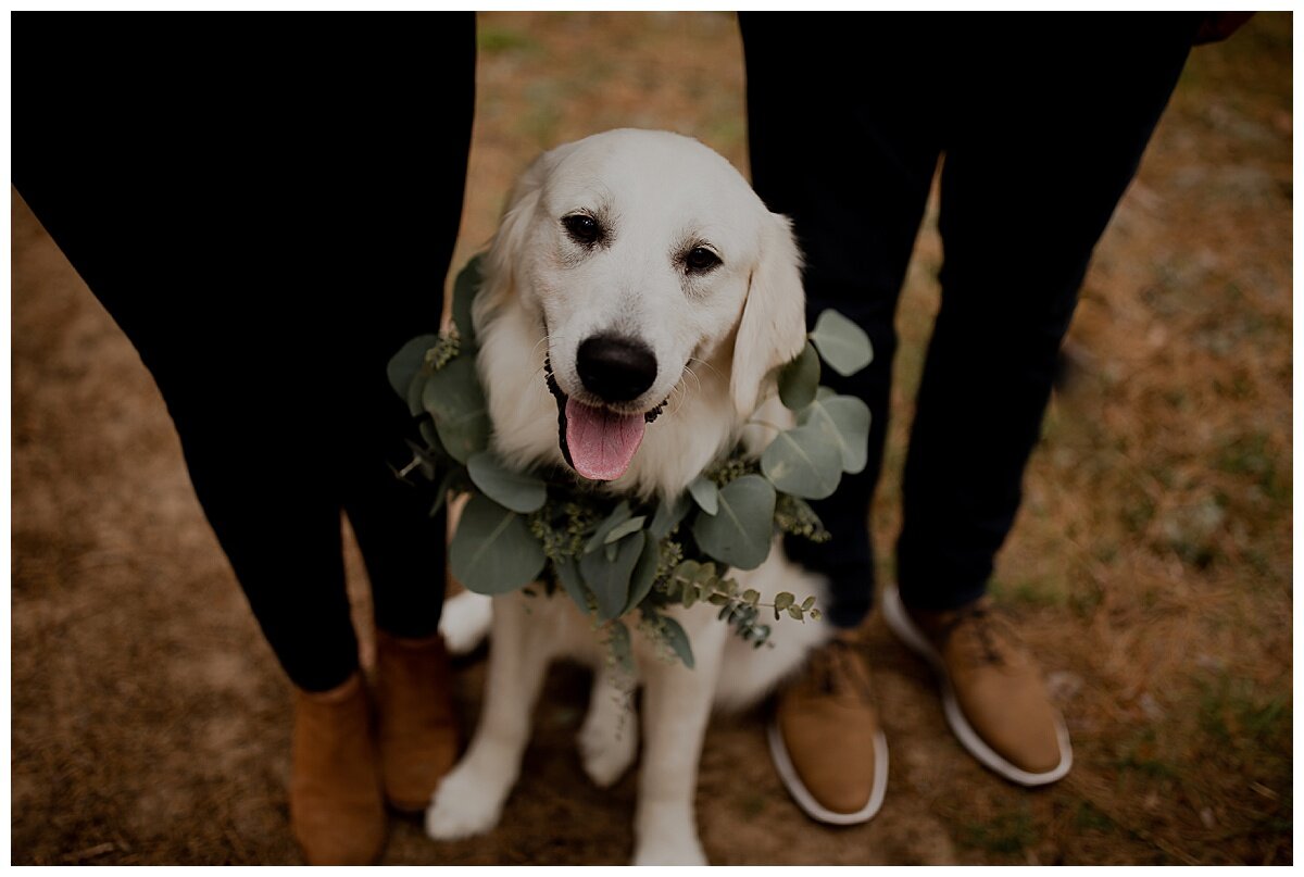 MILWAUKEE WEDDING PHOTOGRAPHER -303.jpg