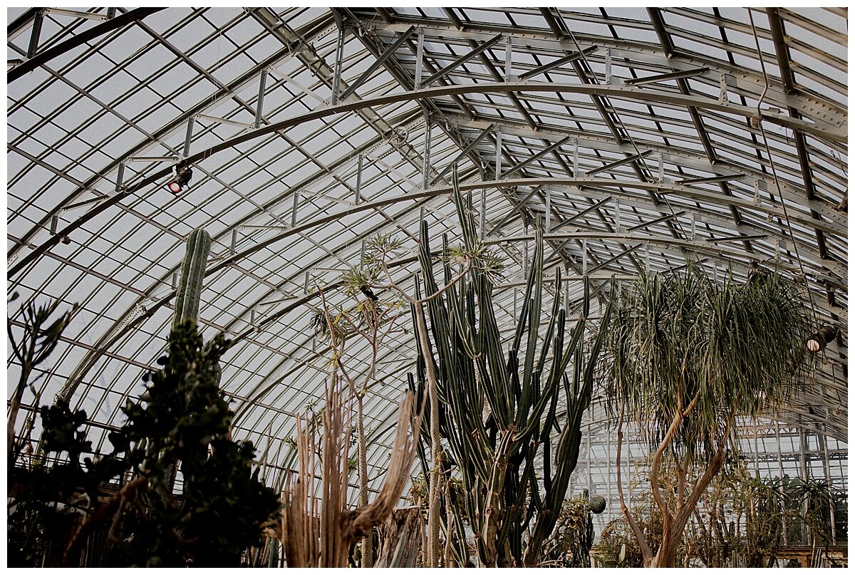 CHICAGO WEDDING PHOTOGRAPHER - GARFIELD PARK CONSERVATORY ENGAGEMENT PHOTOS_0006.jpg