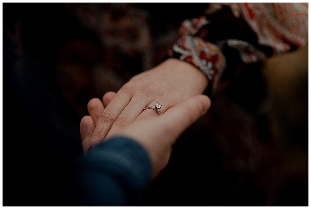 CHICAGO WEDDING PHOTOGRAPHER - GARFIELD PARK CONSERVATORY ENGAGEMENT PHOTOS_0008.jpg