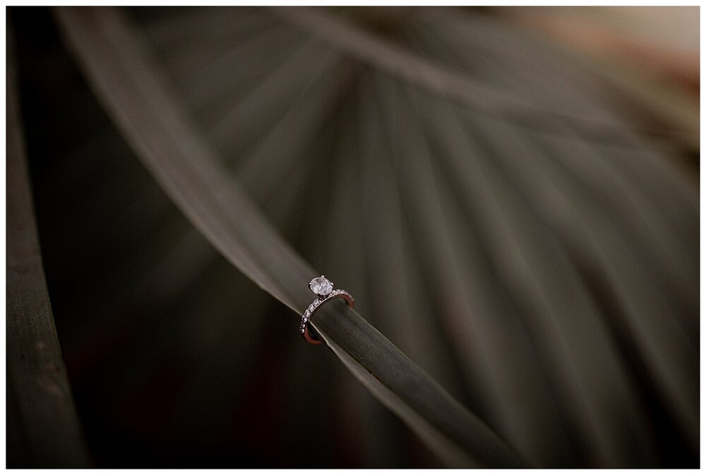 CHICAGO WEDDING PHOTOGRAPHER - GARFIELD PARK CONSERVATORY ENGAGEMENT PHOTOS_0028.jpg