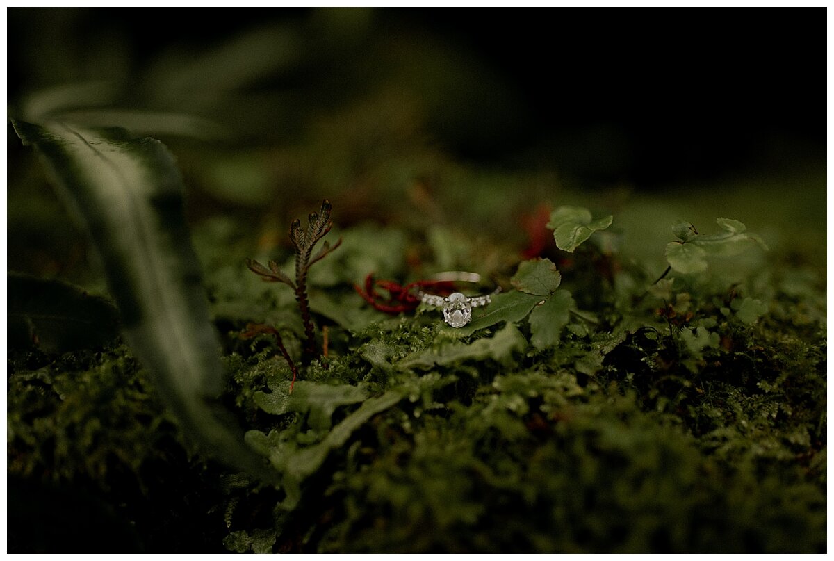 CHICAGO WEDDING PHOTOGRAPHER - GARFIELD PARK CONSERVATORY ENGAGEMENT PHOTOS_0065.jpg