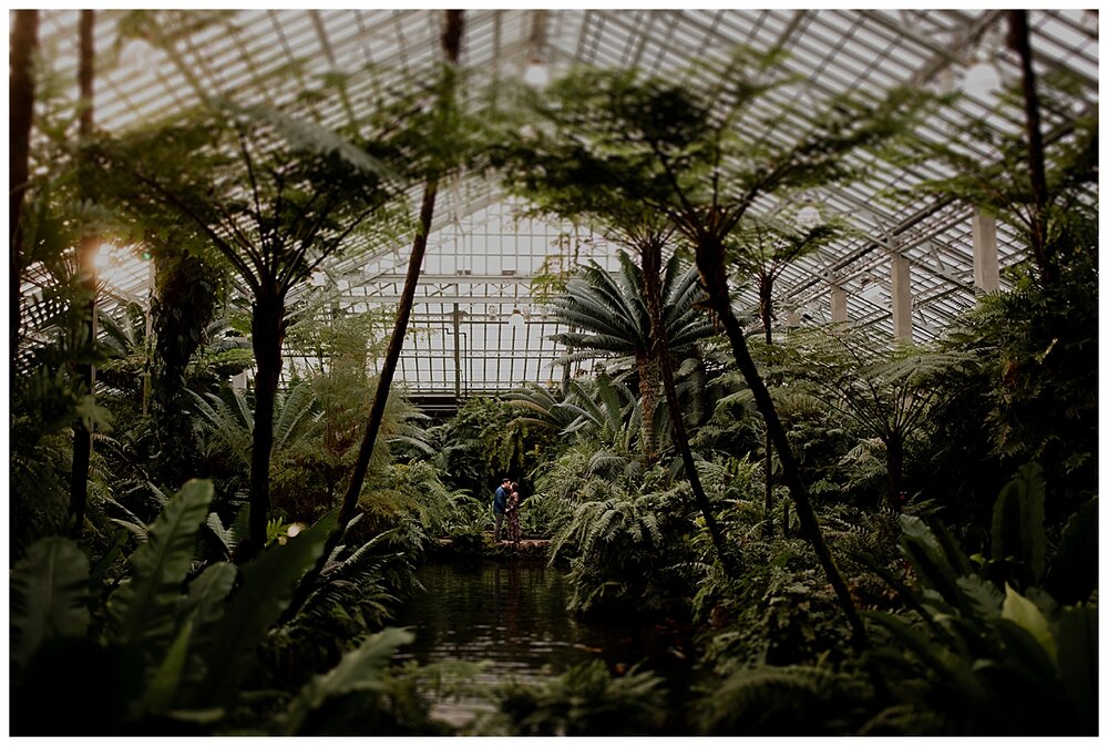 CHICAGO WEDDING PHOTOGRAPHER - GARFIELD PARK CONSERVATORY ENGAGEMENT PHOTOS_0103.jpg