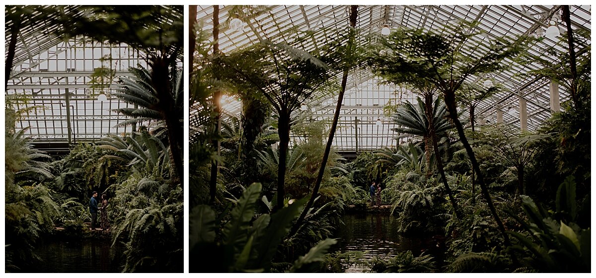 CHICAGO WEDDING PHOTOGRAPHER - GARFIELD PARK CONSERVATORY ENGAGEMENT PHOTOS_0106.jpg