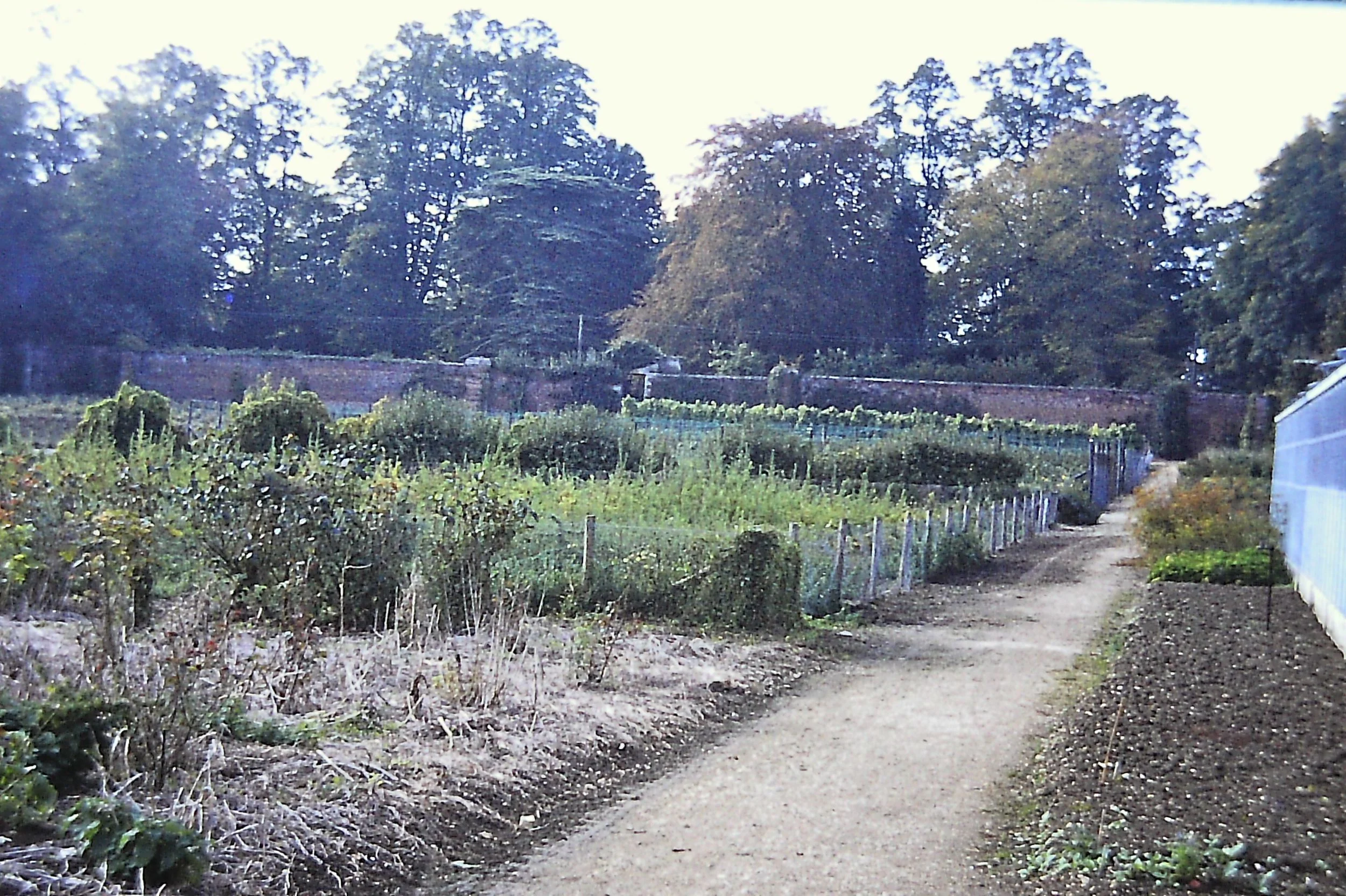 PICT0018_10.jpg