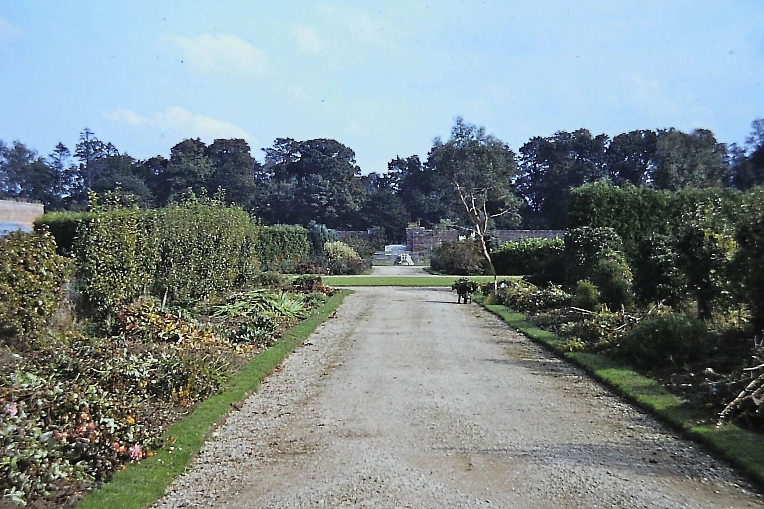 PICT0019_8.jpg