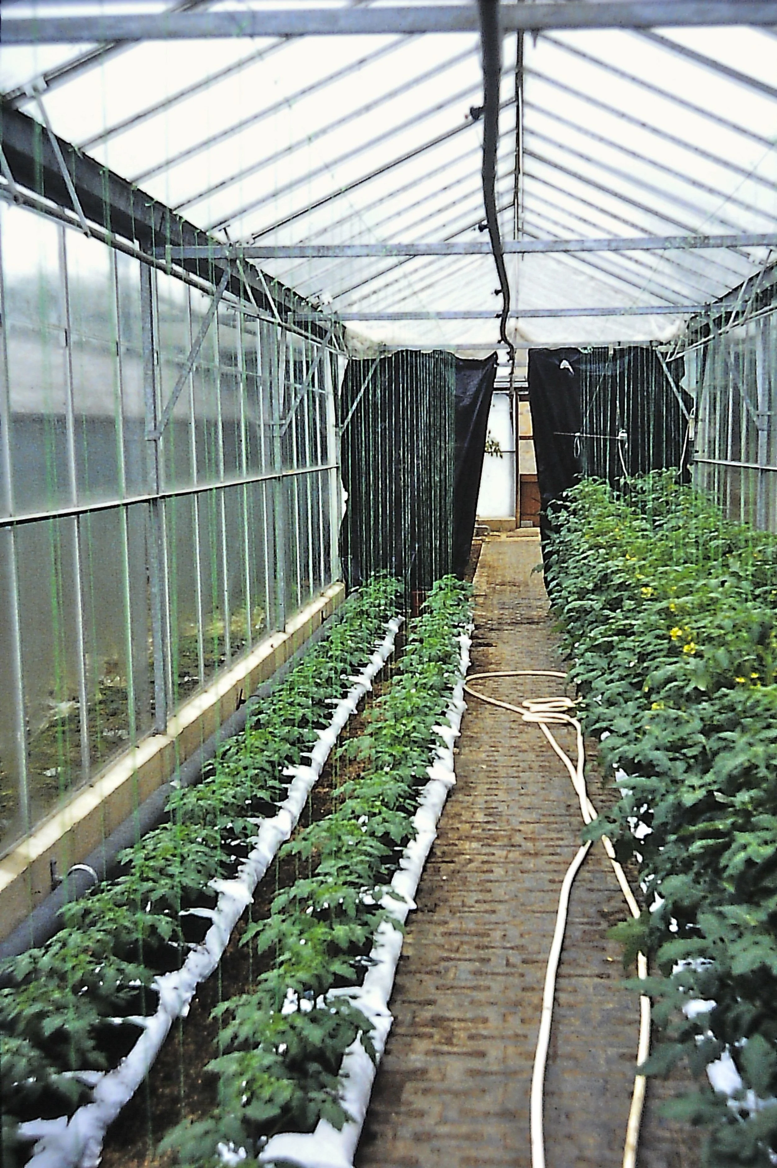 PICT0020_9.jpg