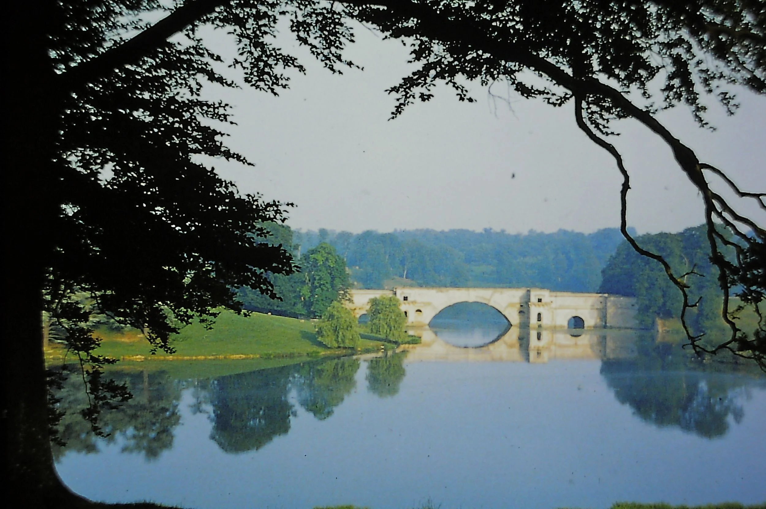 PICT0021_7.jpg