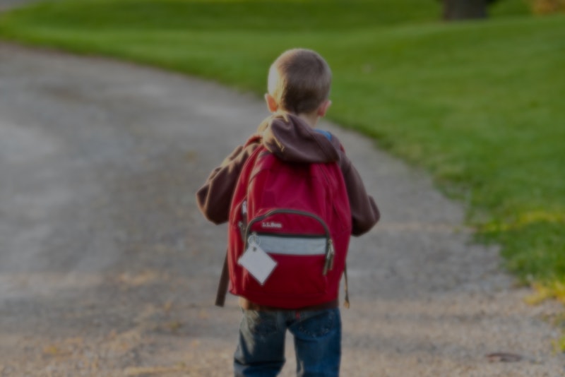 back-view-backpack-boy-207697.jpg