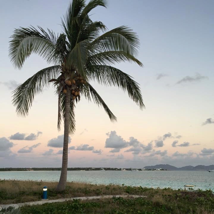My last vacation (Anguilla, March 2015). The view from my apartment looks just like this- no, not at all.