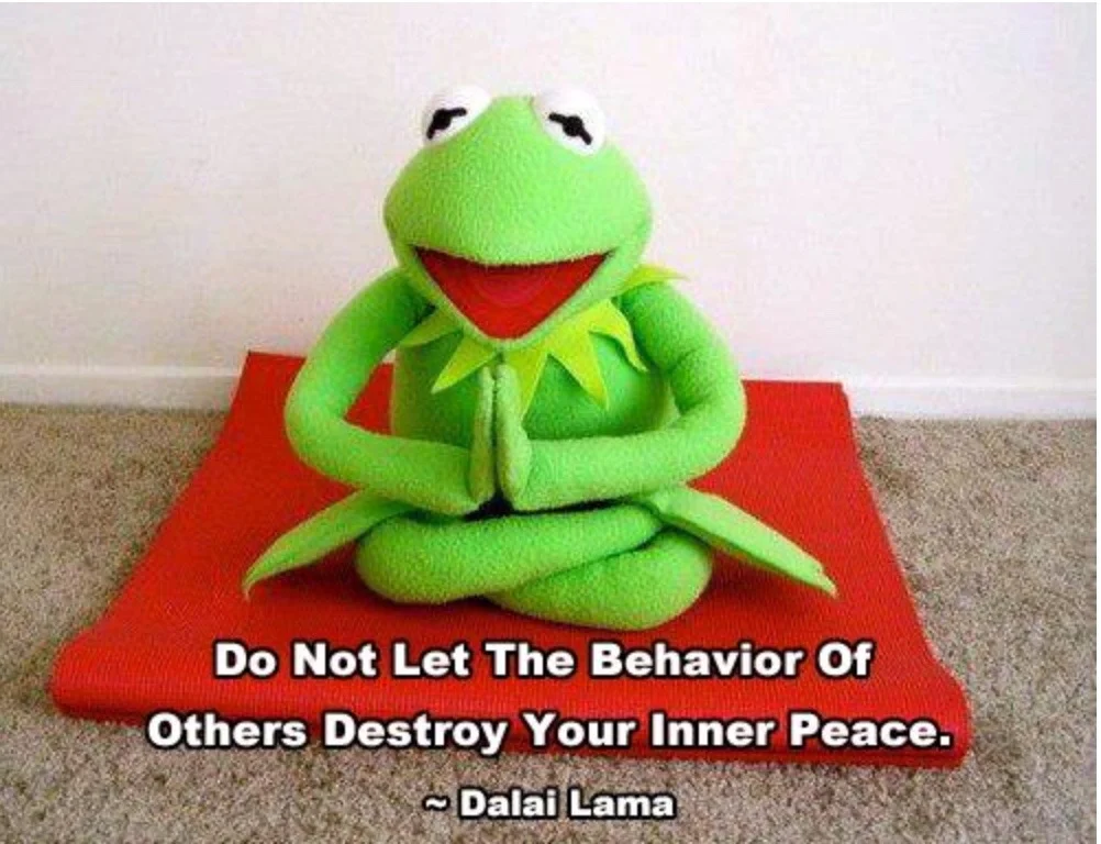 Love getting schooled by a puppet. Whatever, no biggie. 