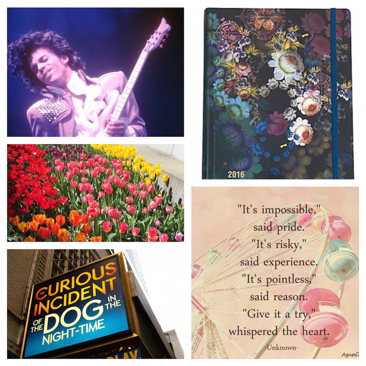 Sources Clockwise from top left: Prince , Planner , Internet Goodness, Curious Incident , Me (My photography skills slay right?)