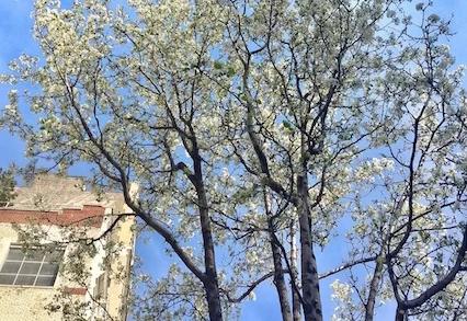 Spring cleaning my insides