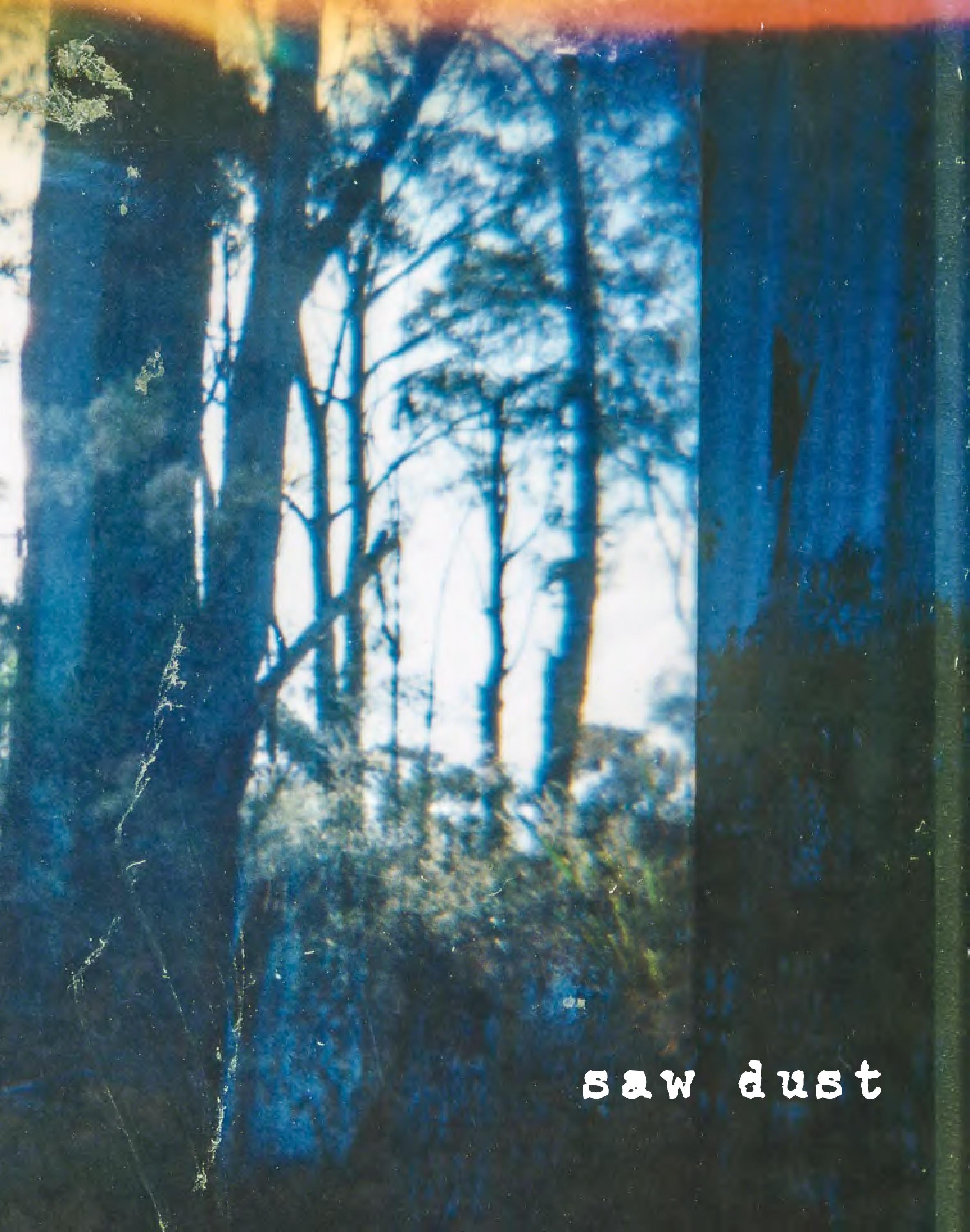 SawDust-Catalog-HEYDT-email-page-006.jpg