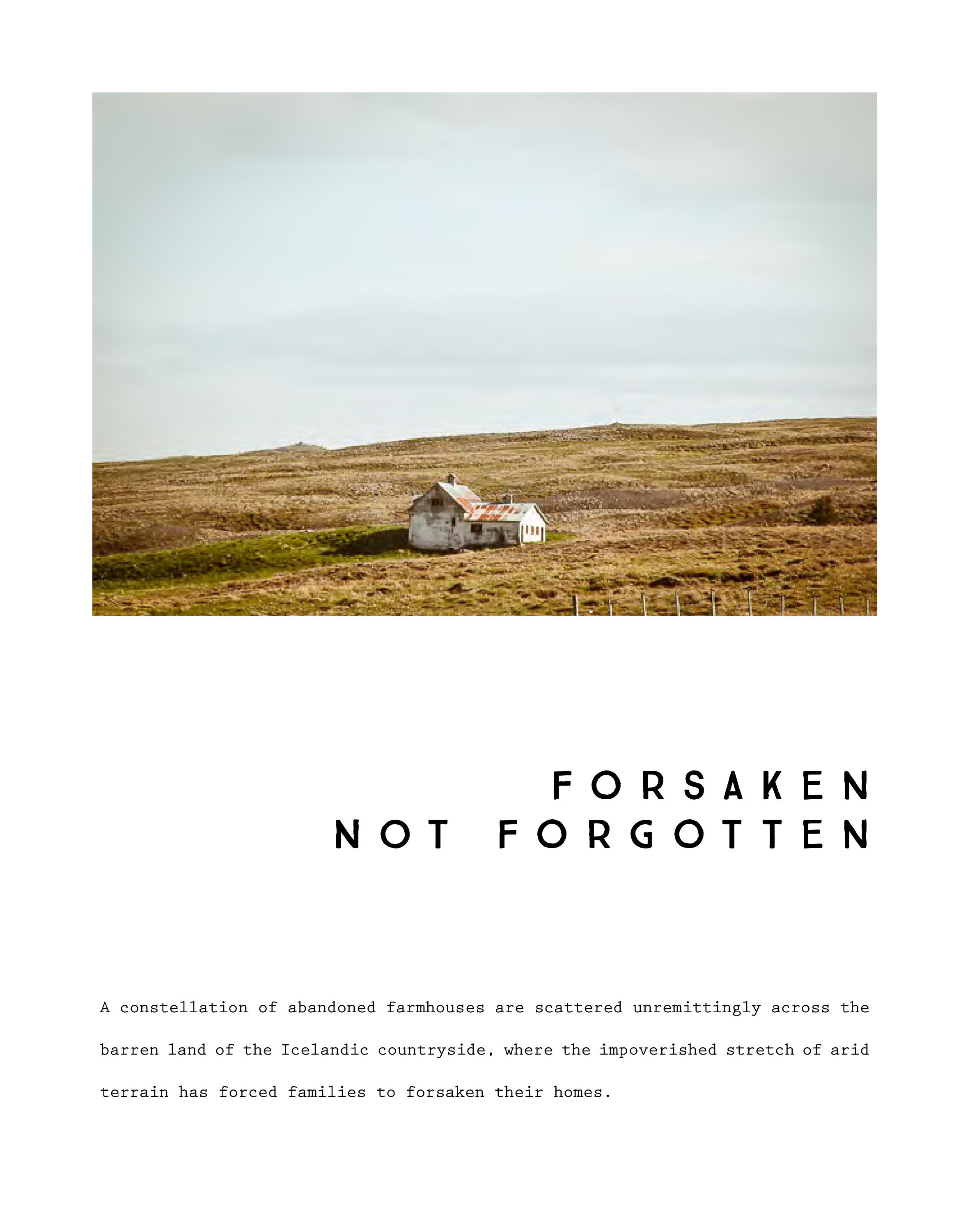 ForsakenNotForgotten-Catalog-HEYDT-page-004.jpg