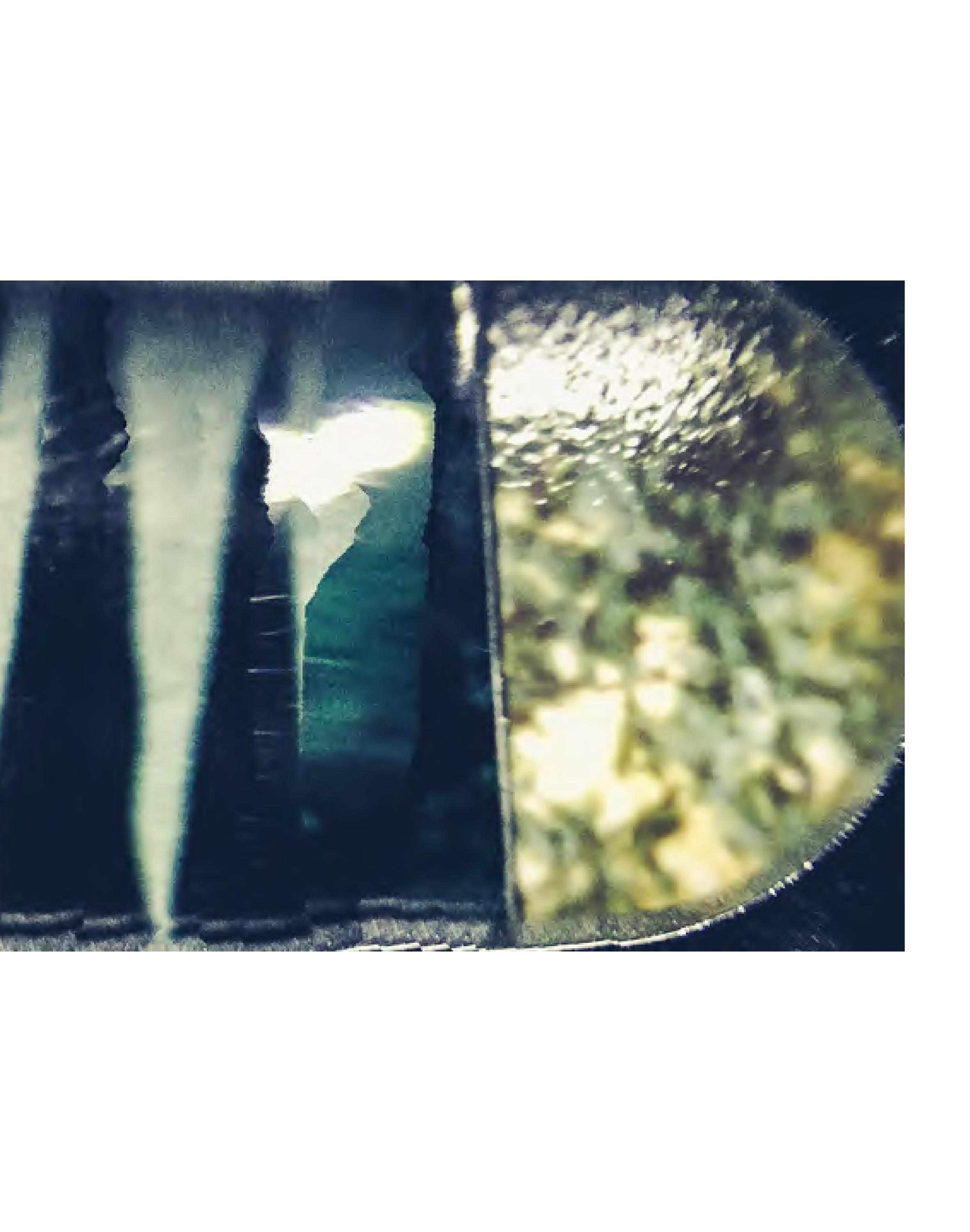 Invisible-Singularity-HEYDT-web-page-046.jpg