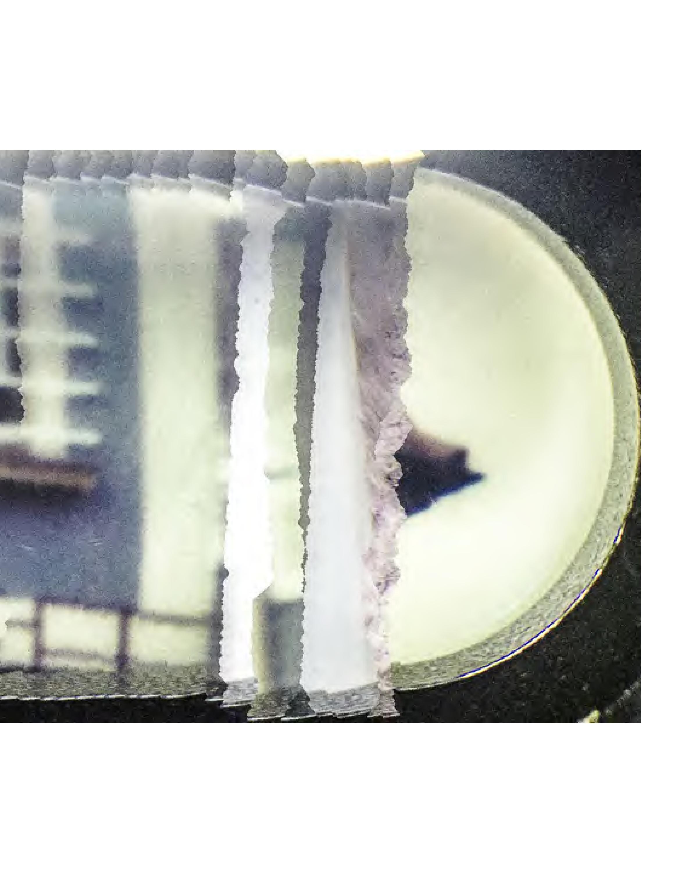 Invisible-Singularity-HEYDT-web-page-054.jpg