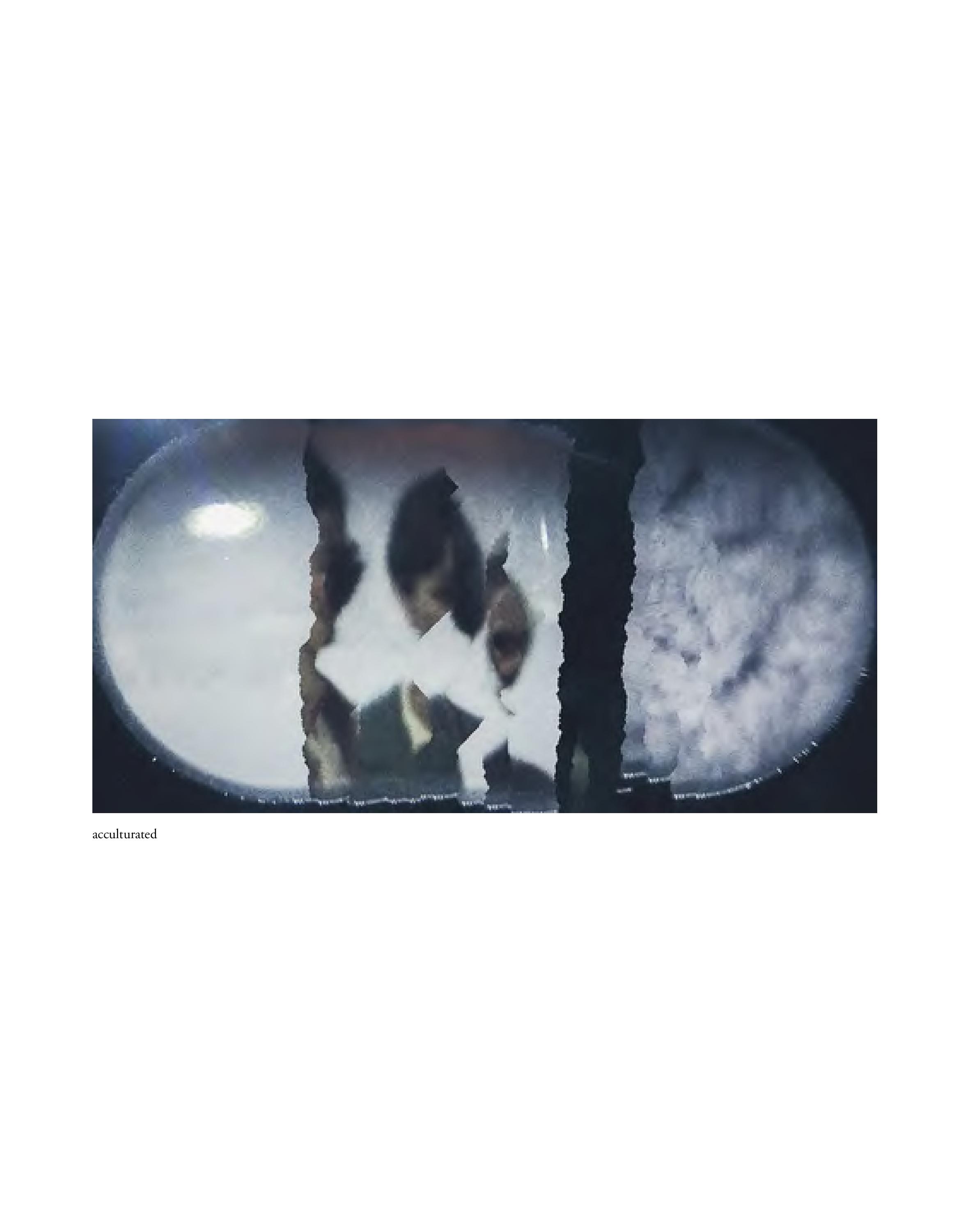Invisible-Singularity-HEYDT-web-page-065.jpg