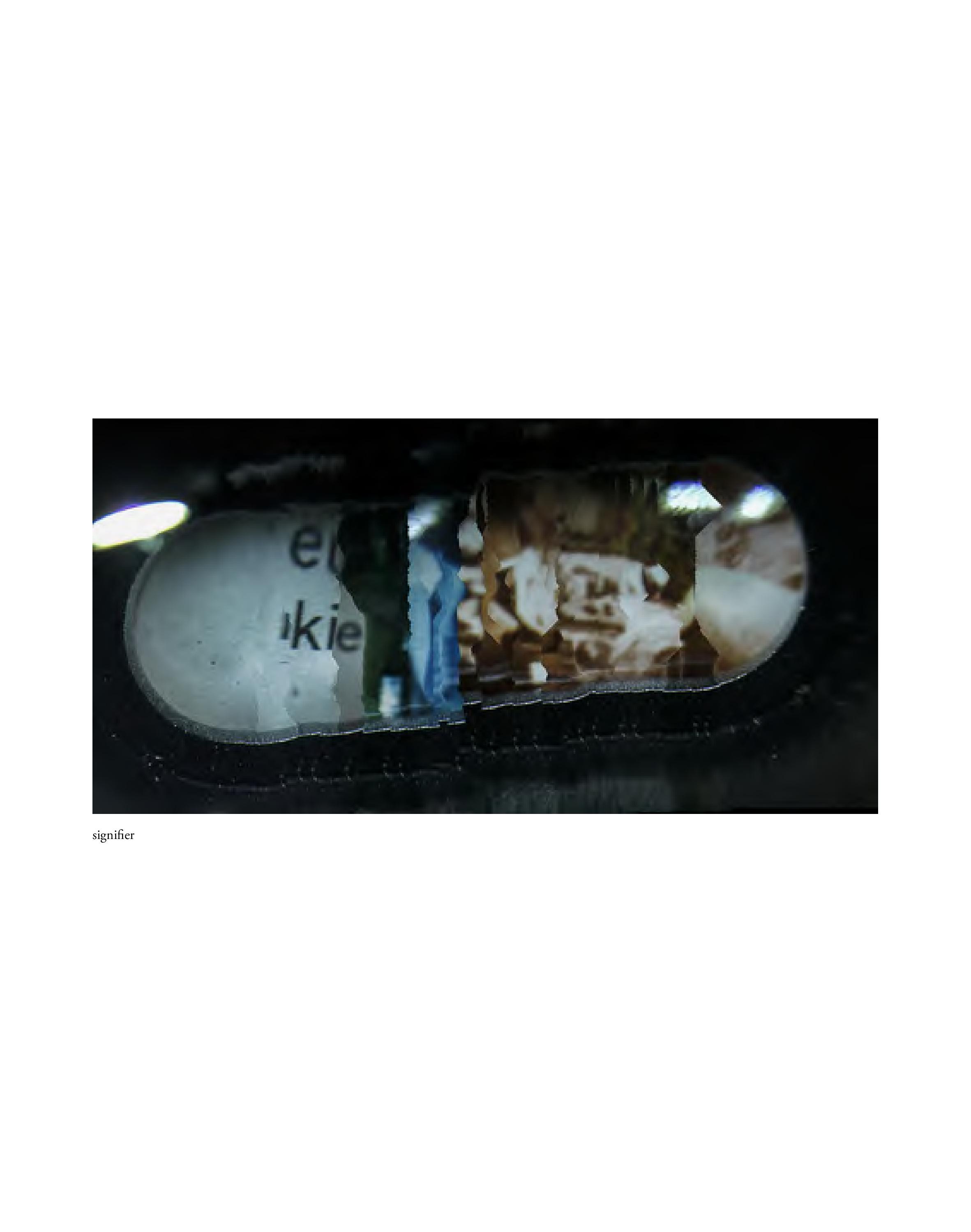 Invisible-Singularity-HEYDT-web-page-066.jpg