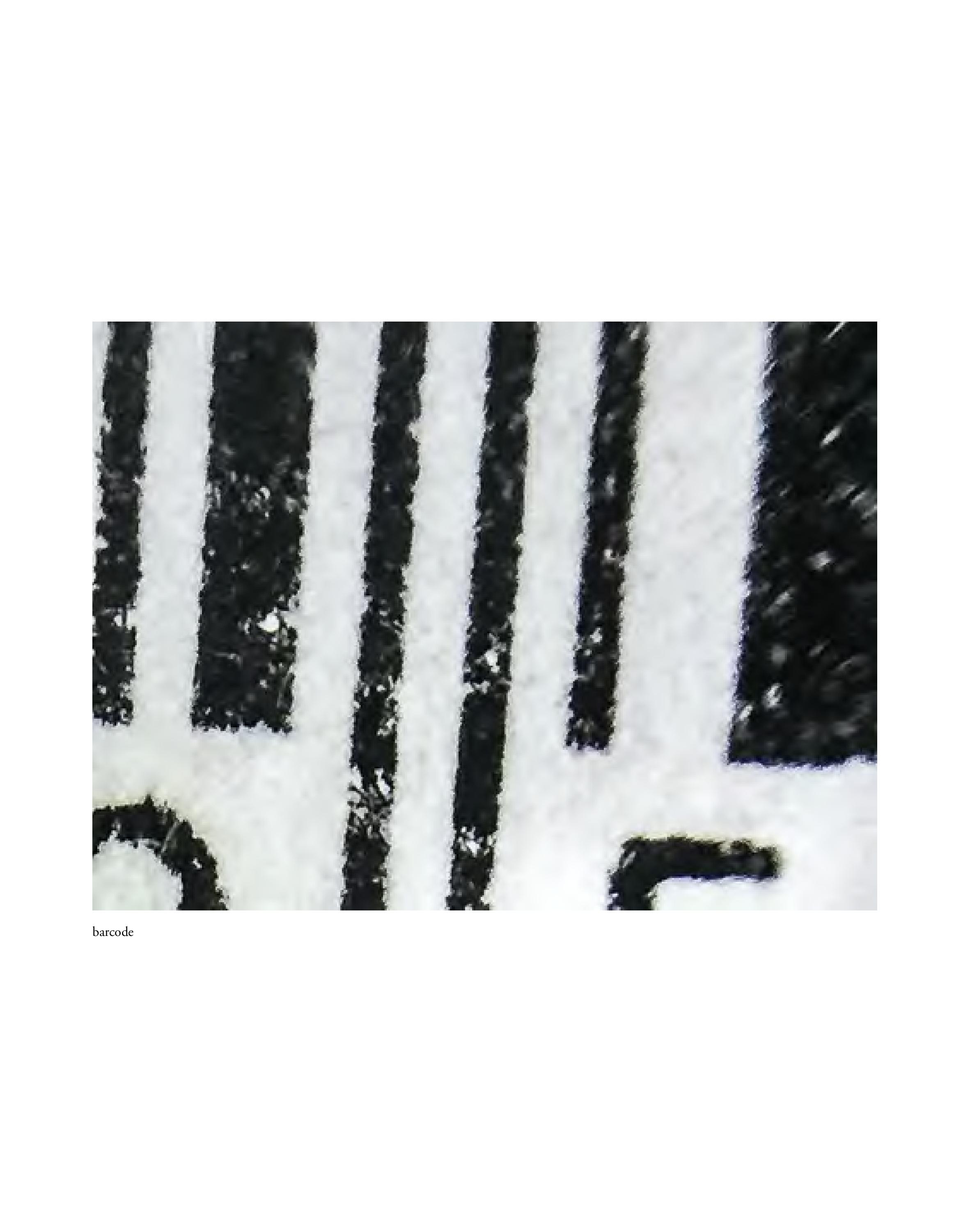 Invisible-Singularity-HEYDT-web-page-089.jpg