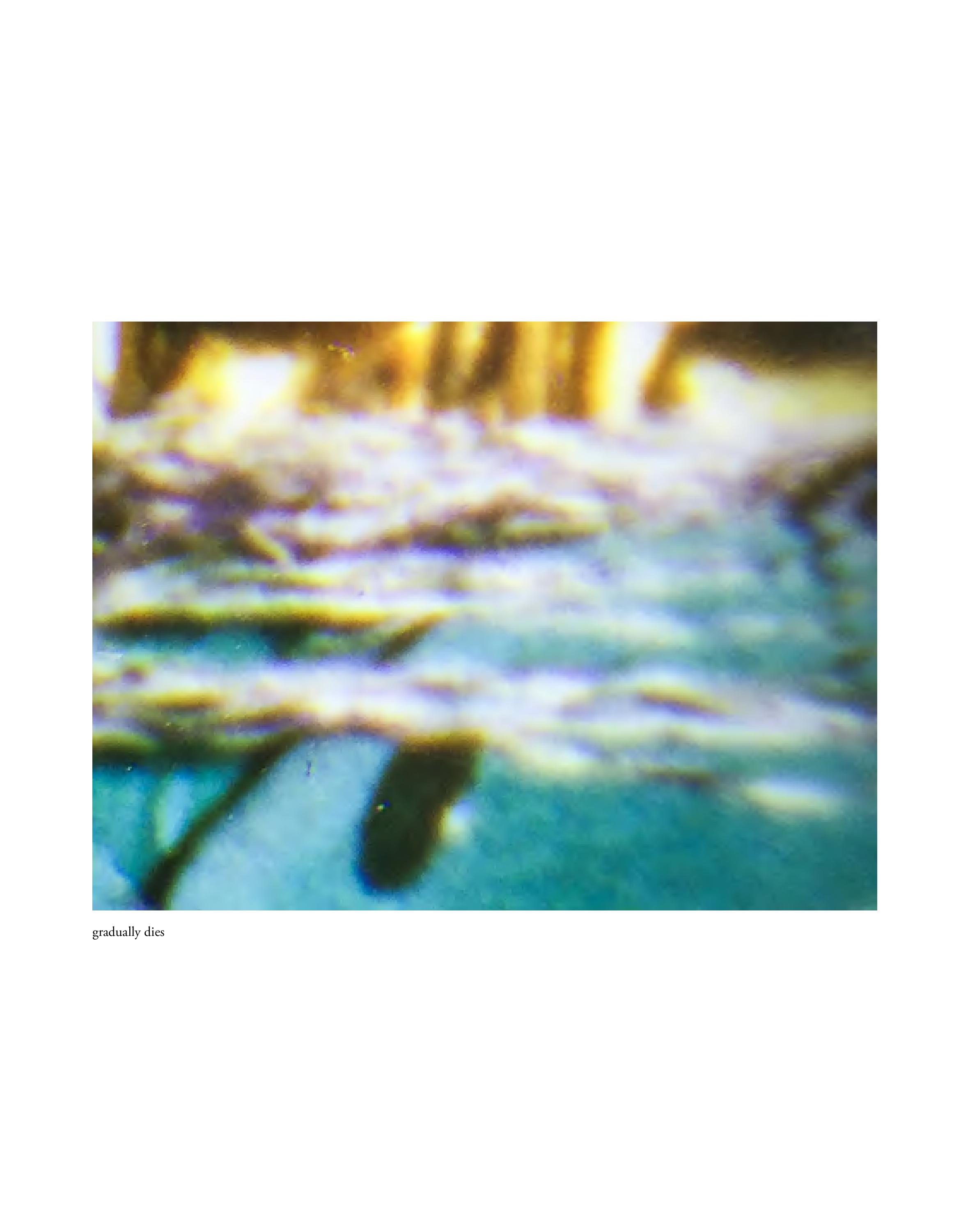 Invisible-Singularity-HEYDT-web-page-092.jpg