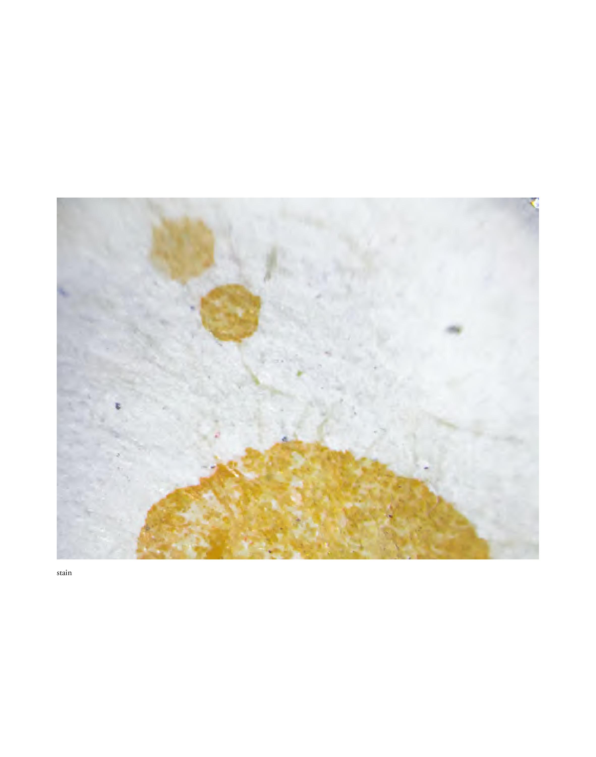 Invisible-Singularity-HEYDT-web-page-094.jpg