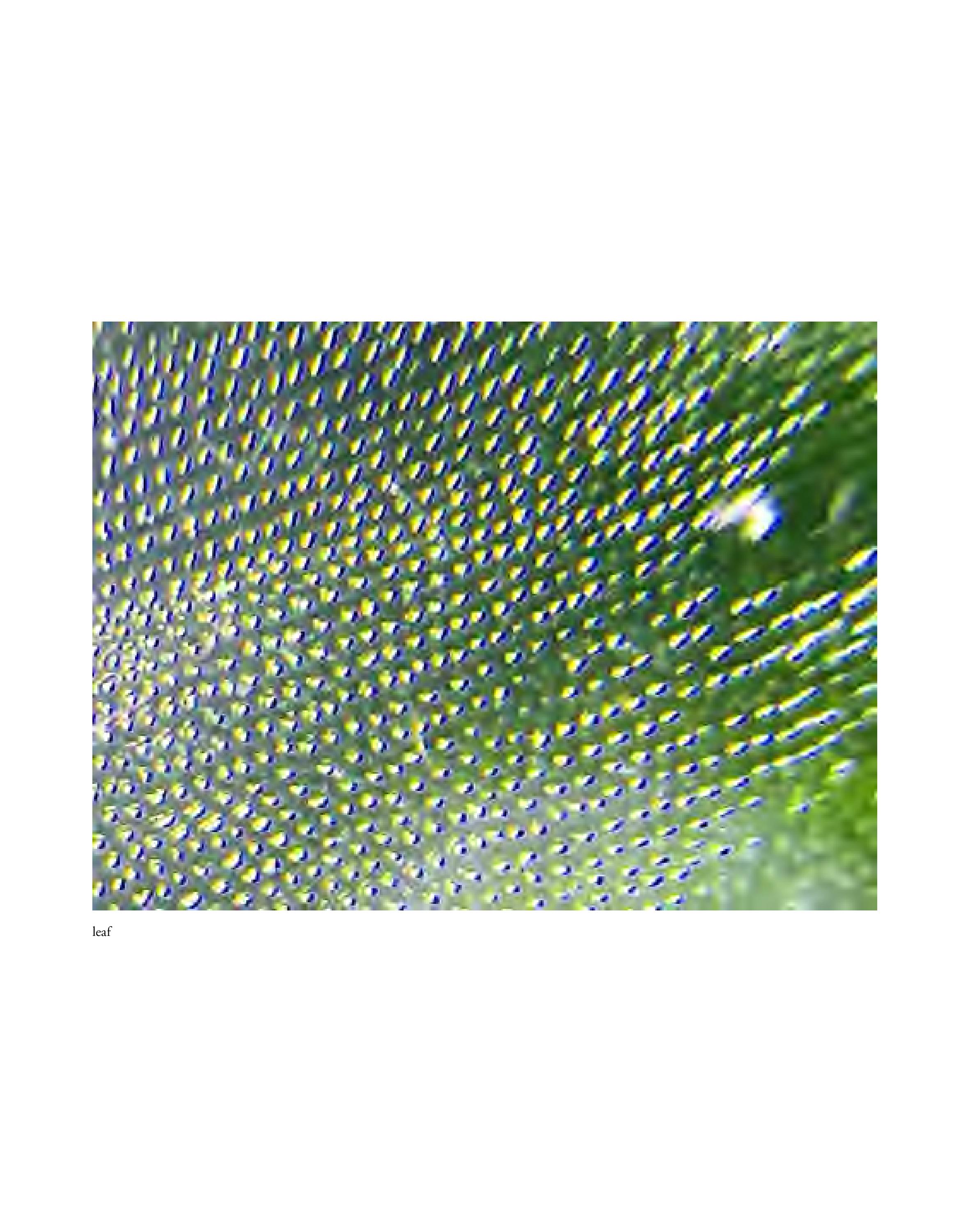 Invisible-Singularity-HEYDT-web-page-102.jpg