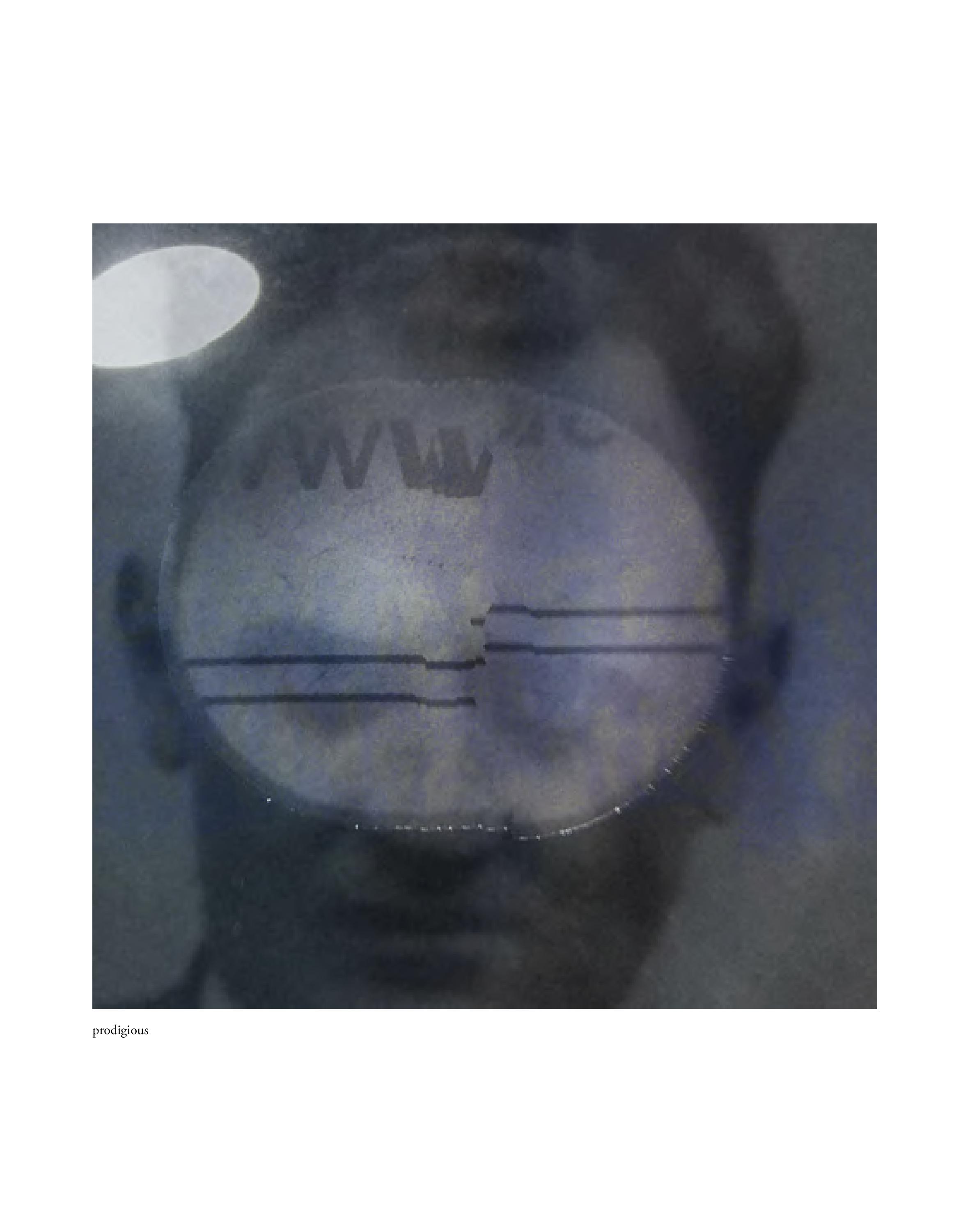 Invisible-Singularity-HEYDT-web-page-113.jpg