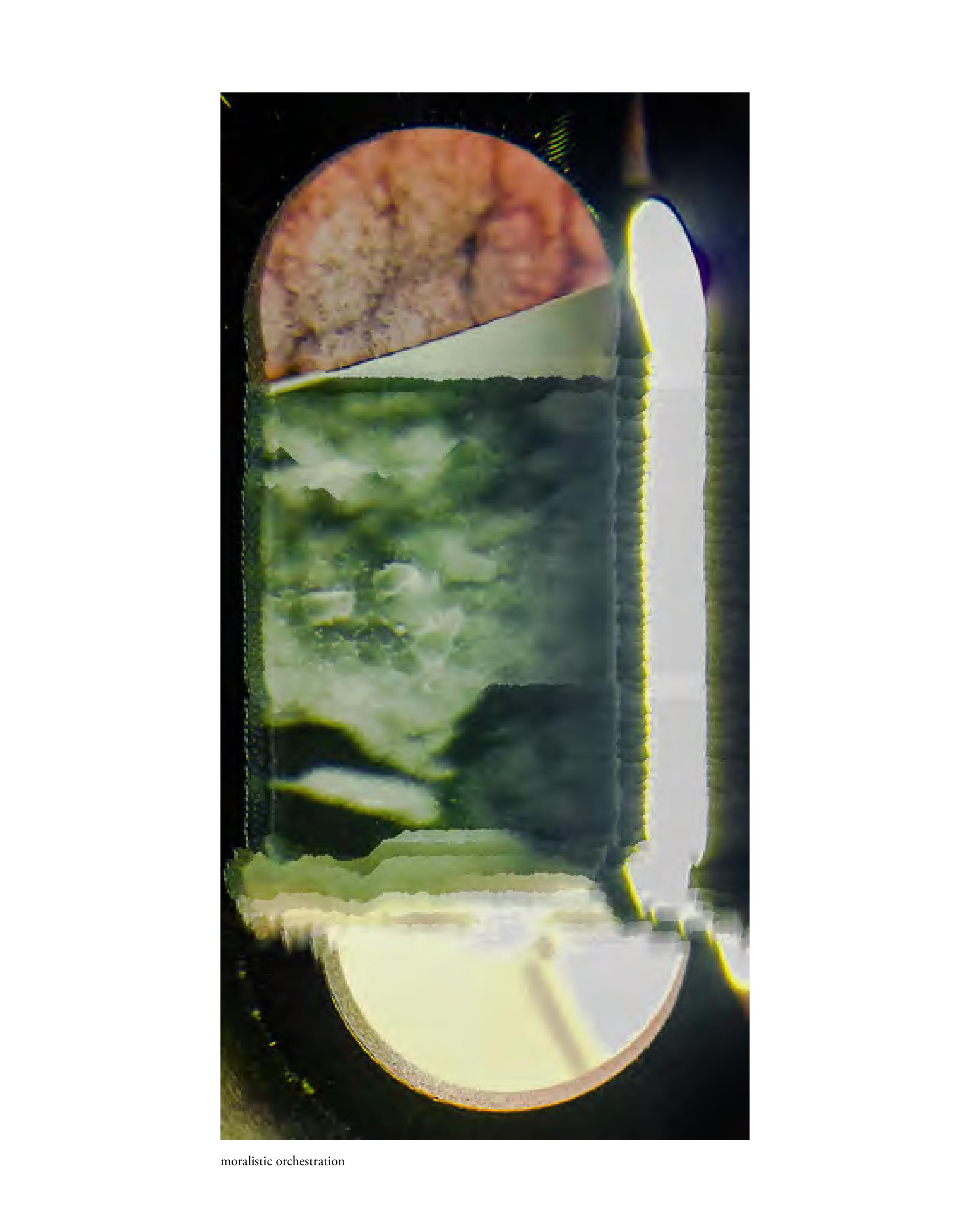Invisible-Singularity-HEYDT-web-page-134.jpg