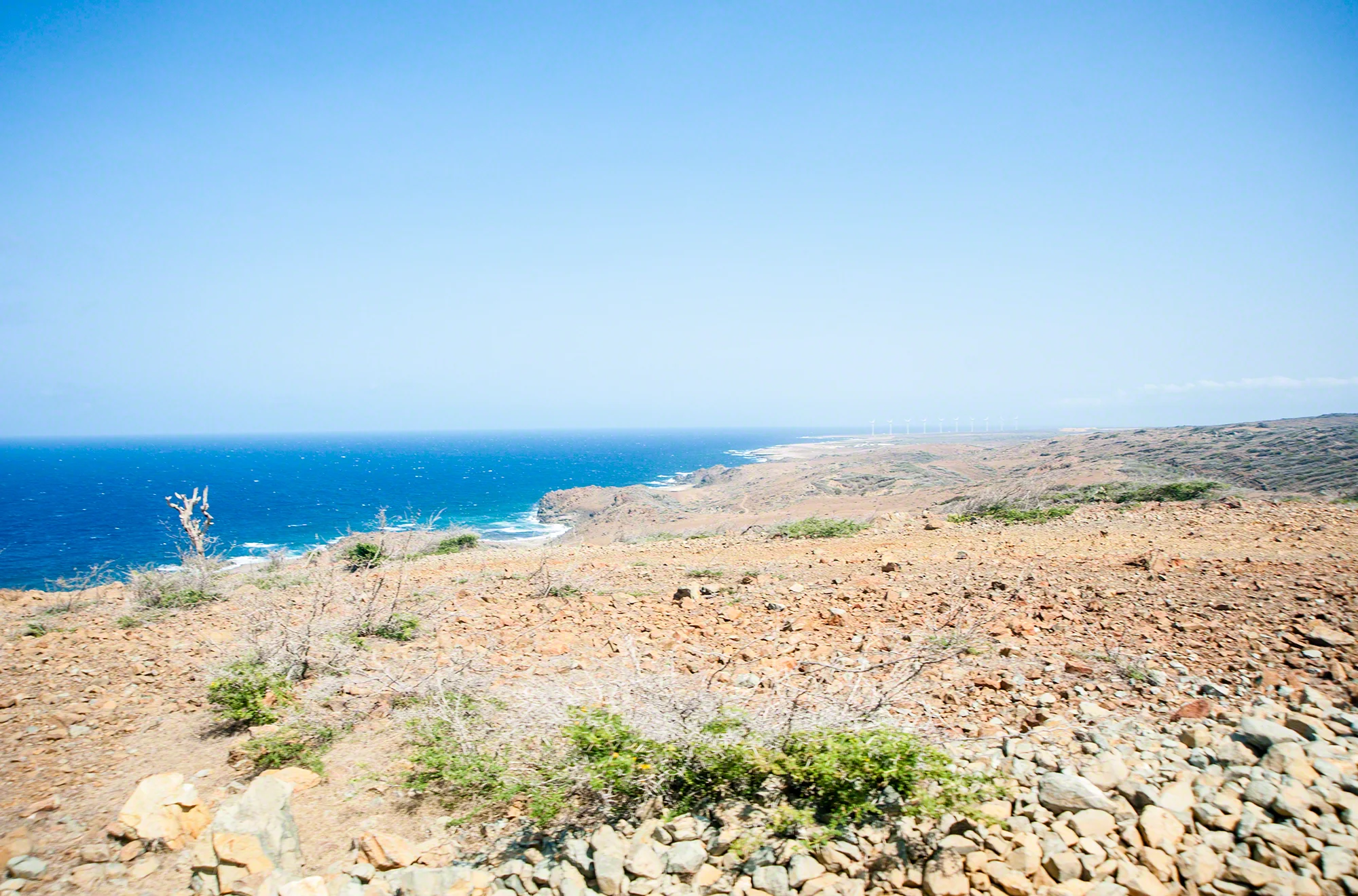 Aruba-HEYDT-0487.jpg
