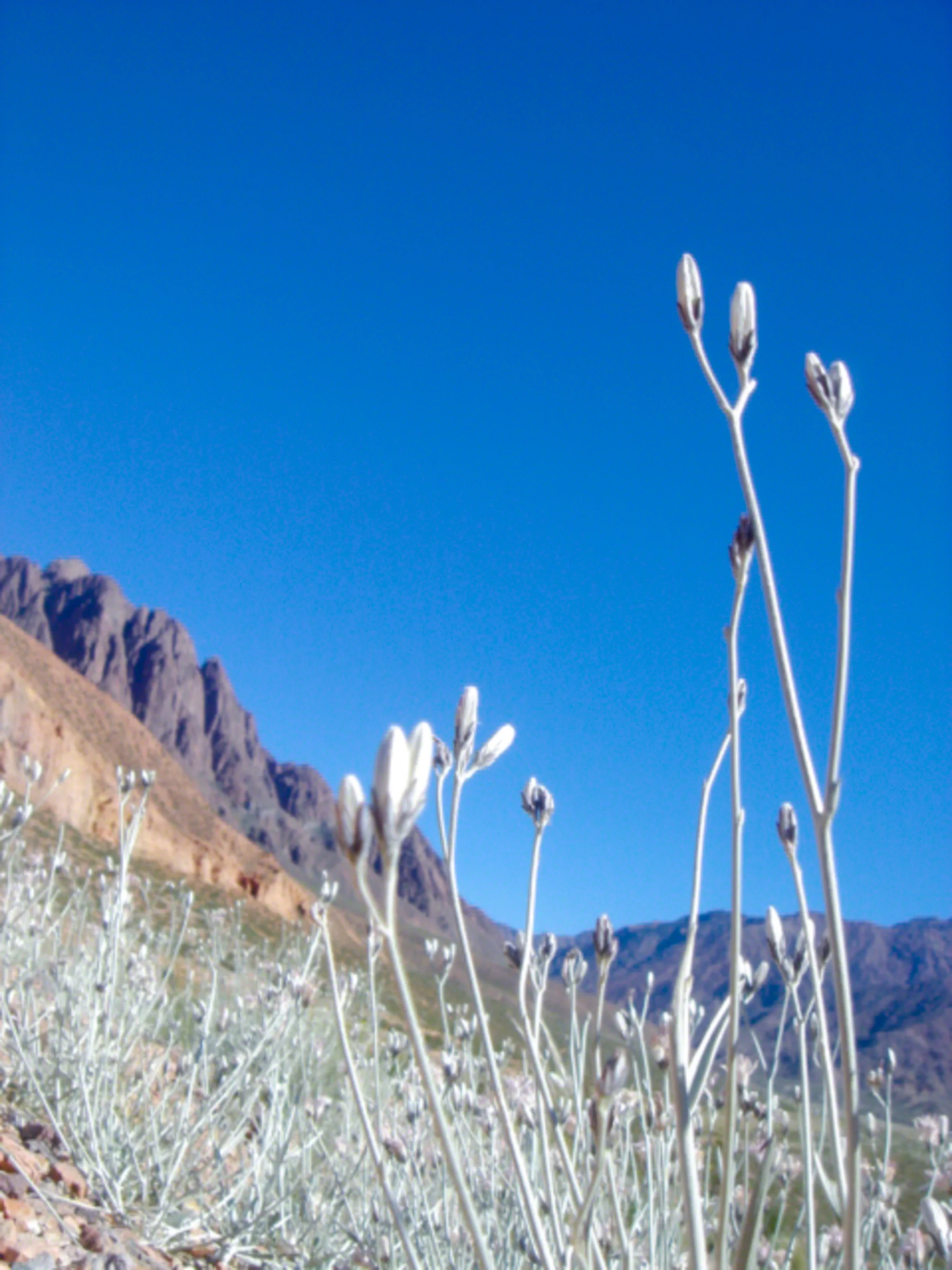 Chile-HEYDT-04027.jpg