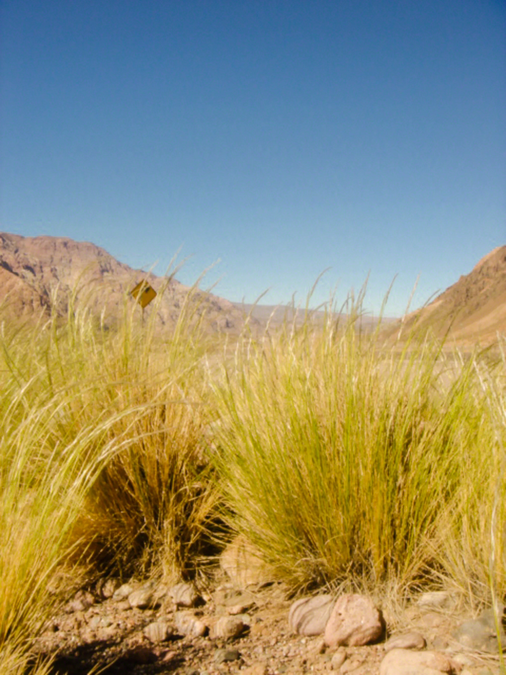 Chile-HEYDT-04486.jpg