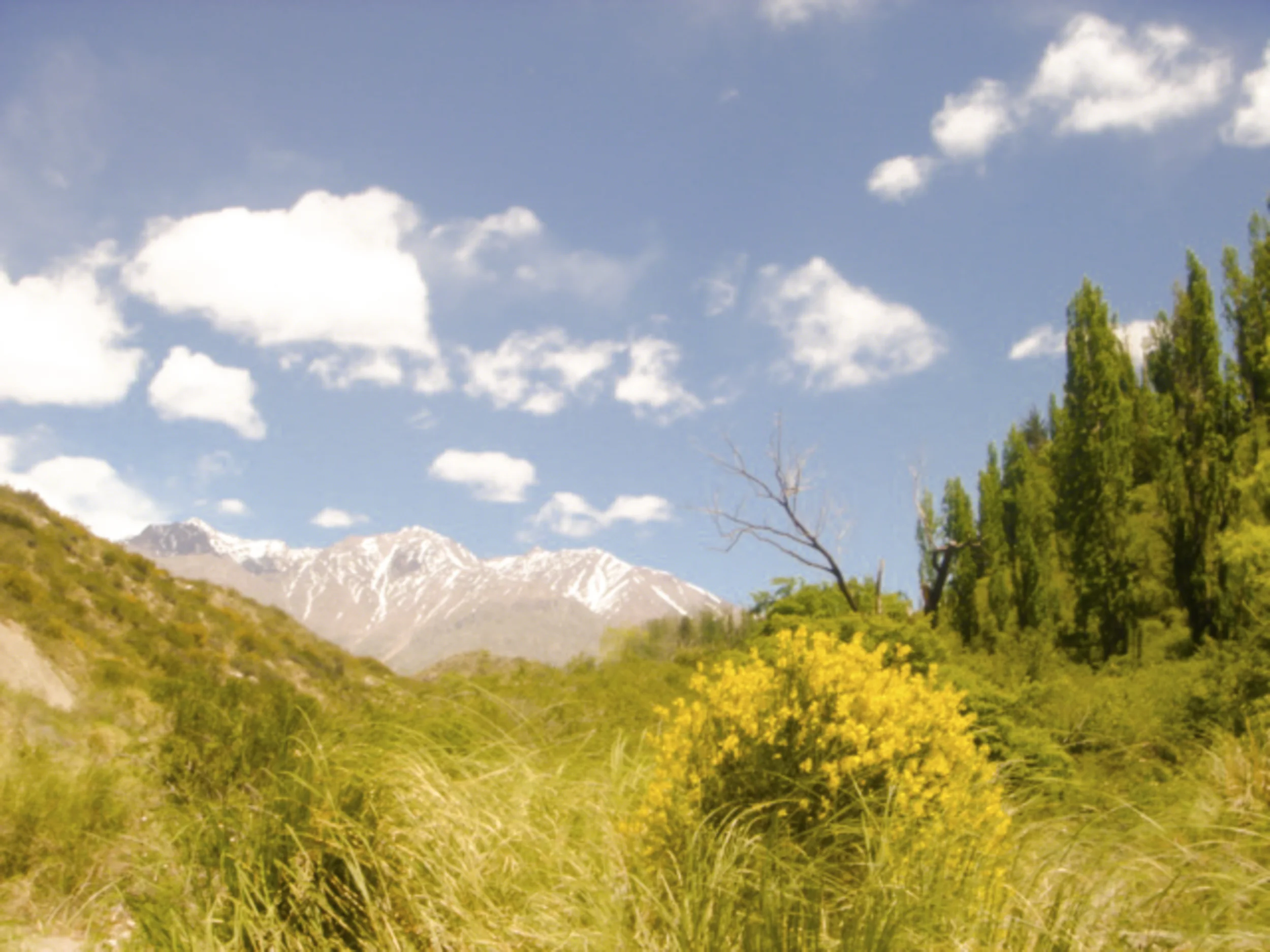 Chile-HEYDT-04610.jpg