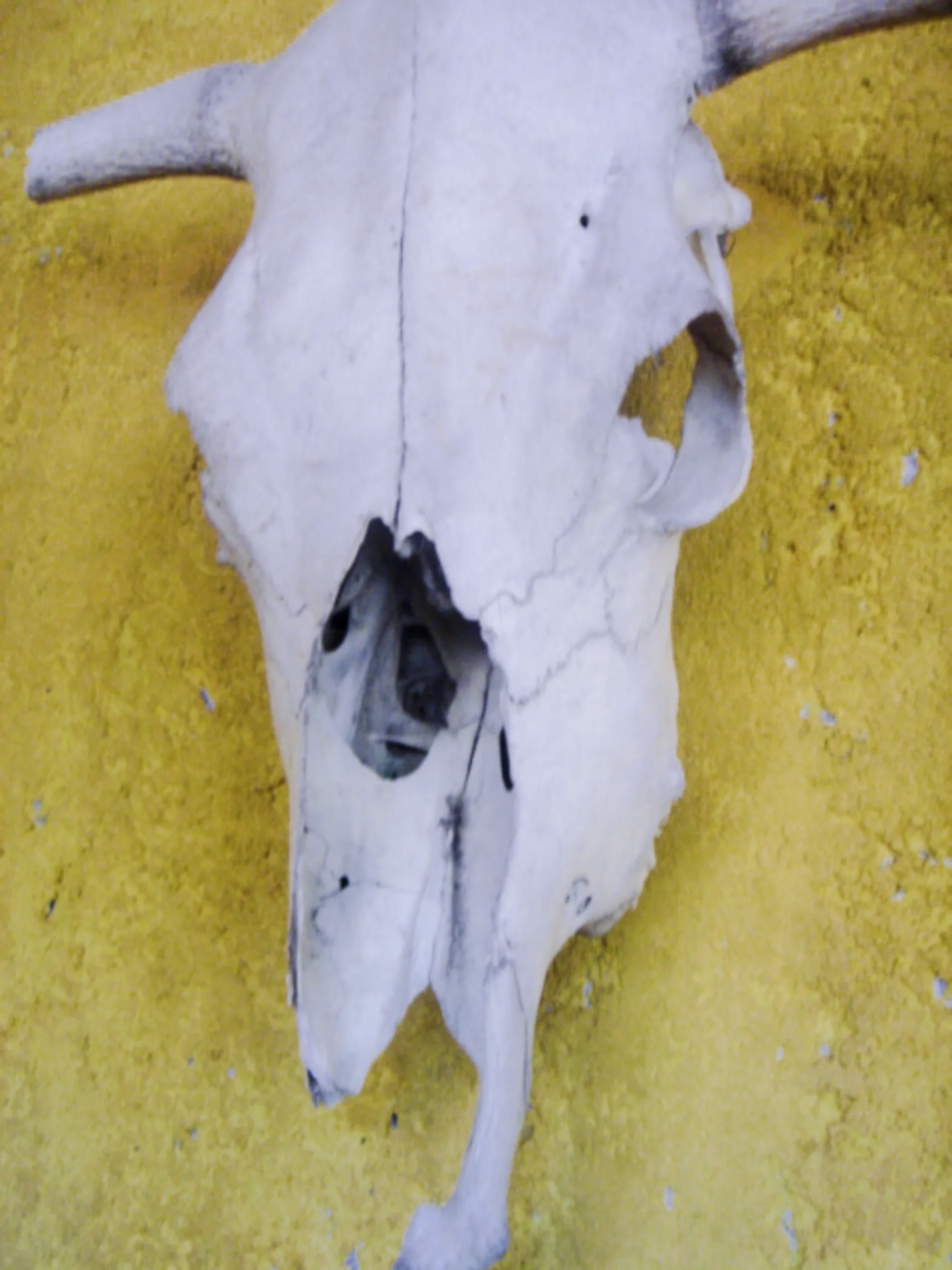 Chile-HEYDT-04956.jpg