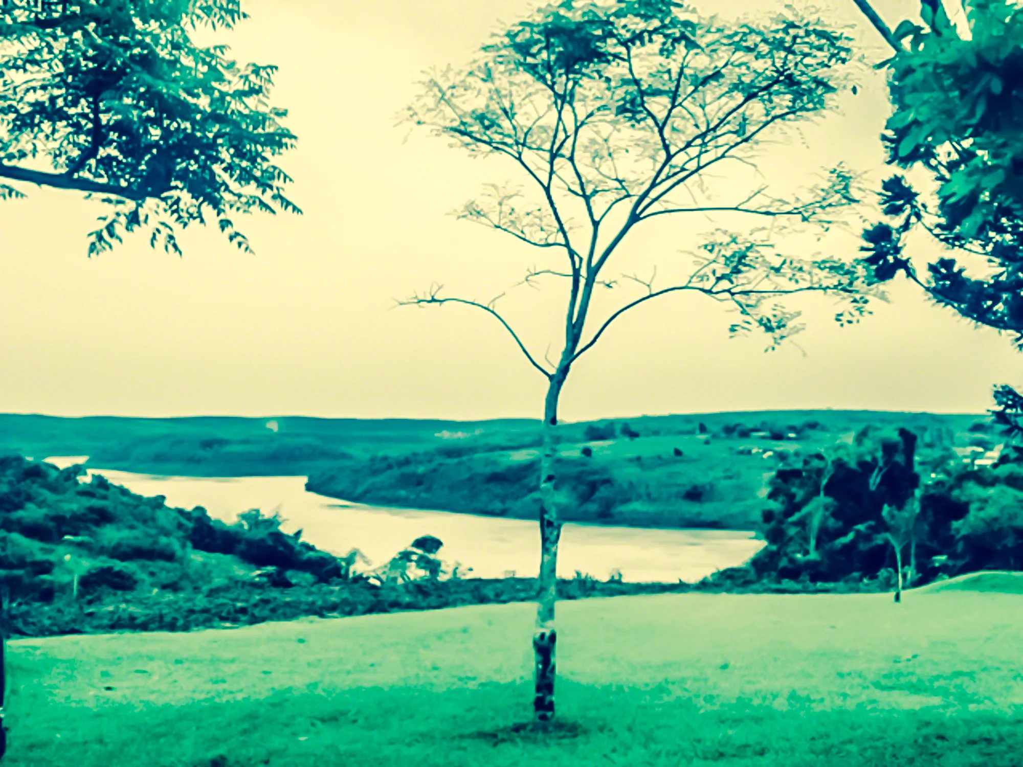 Brazil-HEYDT-00168.jpg