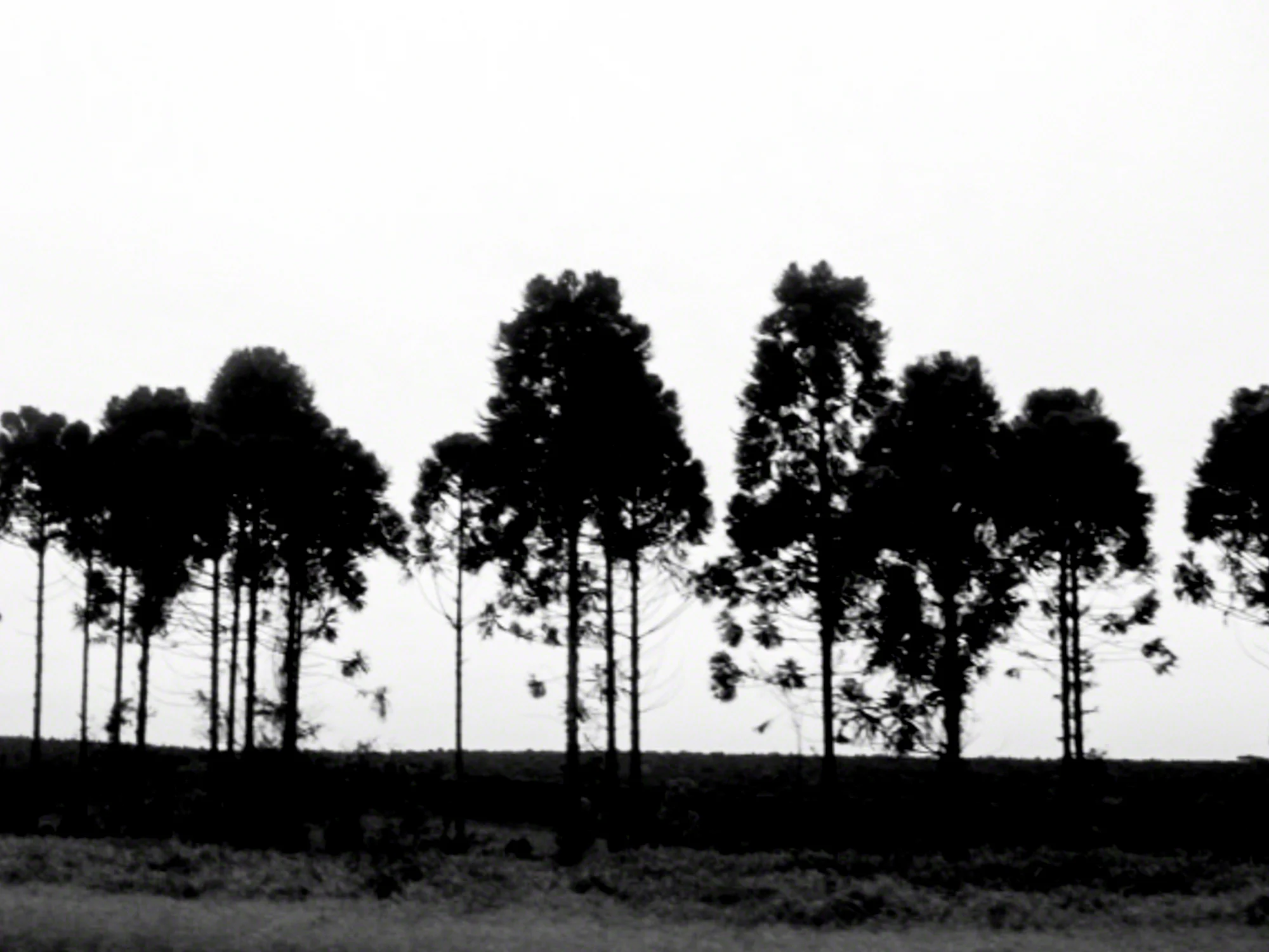 Brazil-HEYDT-00224.jpg
