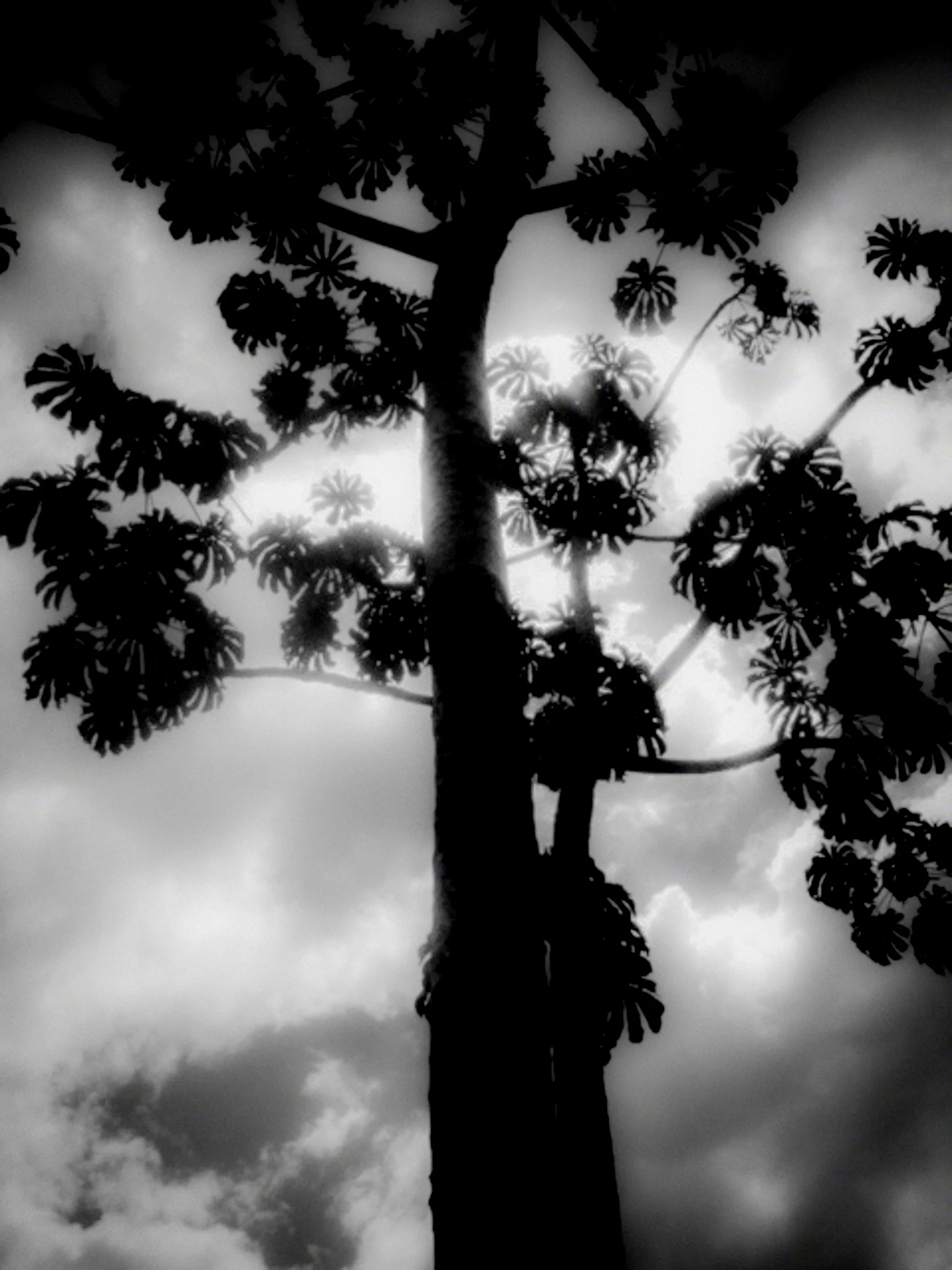 Brazil-HEYDT-09367.jpg