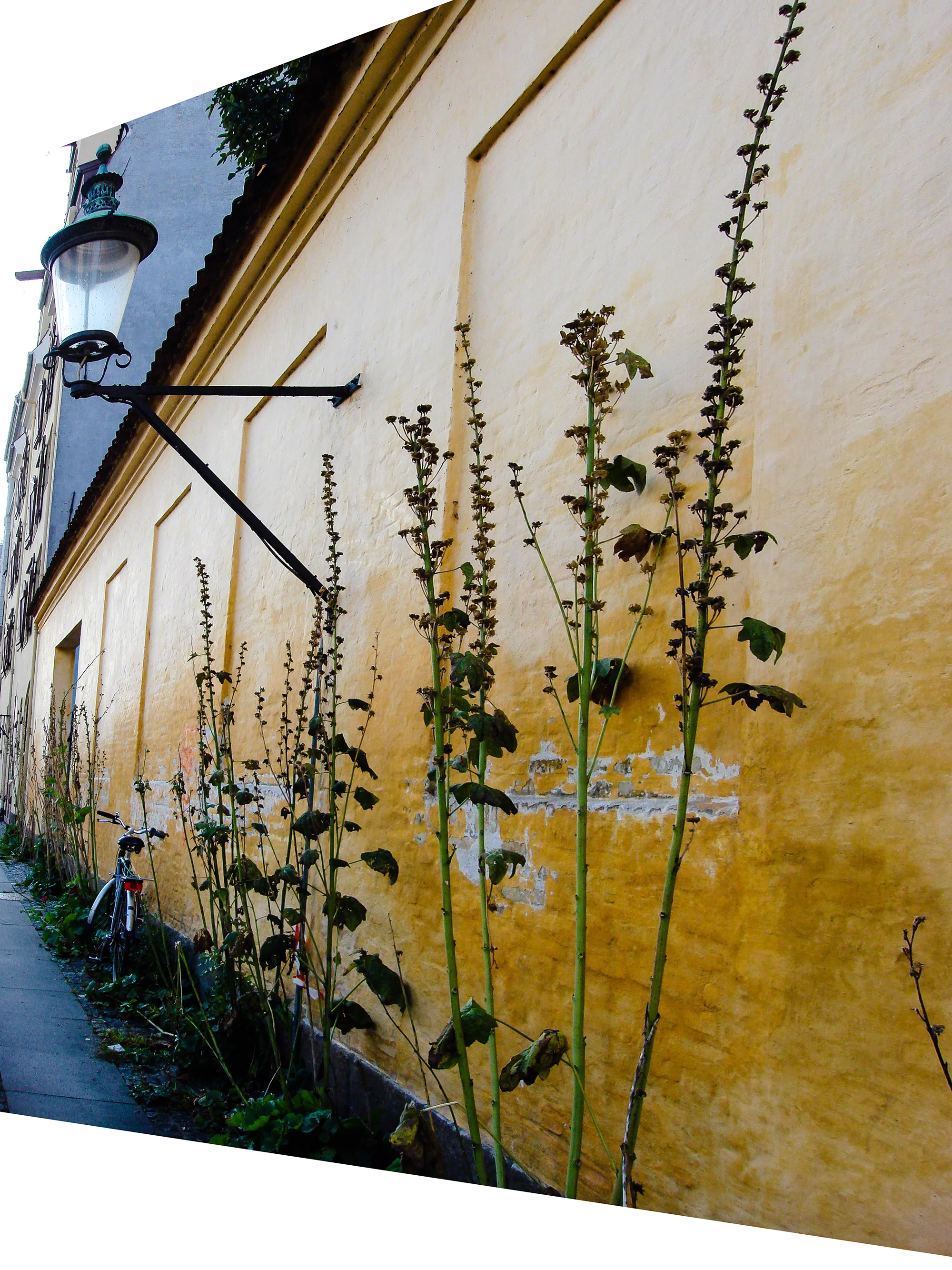 Denmark-HEYDT-08425.jpg