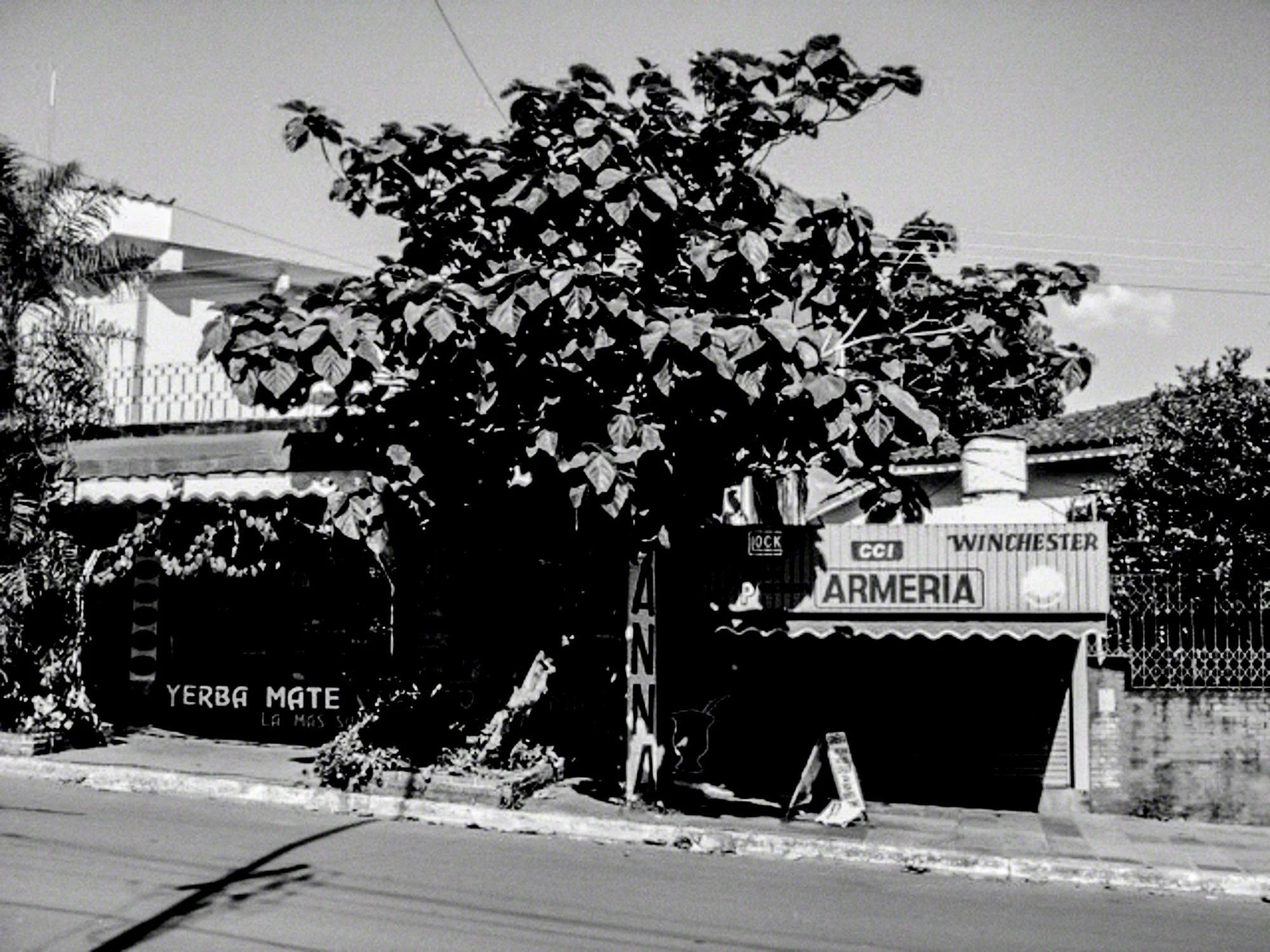 Brazil-HEYDT-09876.jpg