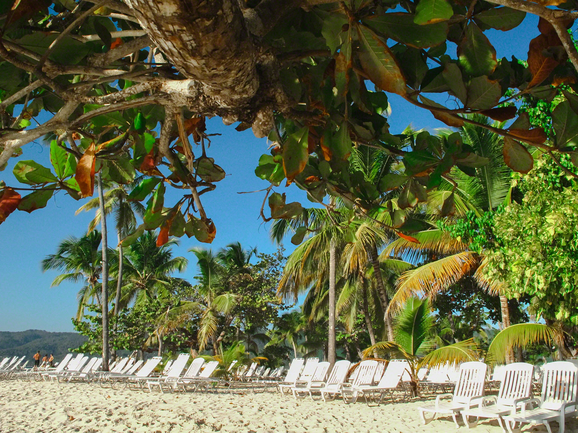 DominicanRepublic-HEYDT-6406.jpg