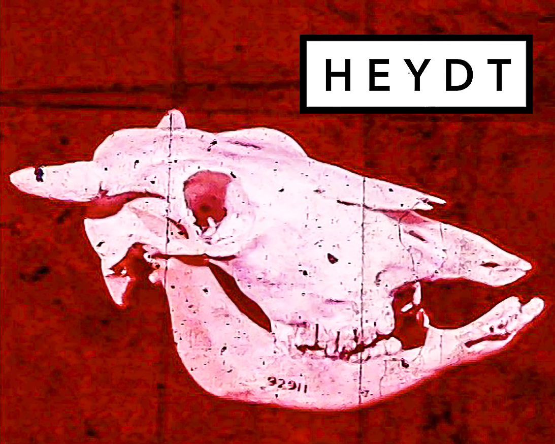HEYDT-Brand-59.jpg
