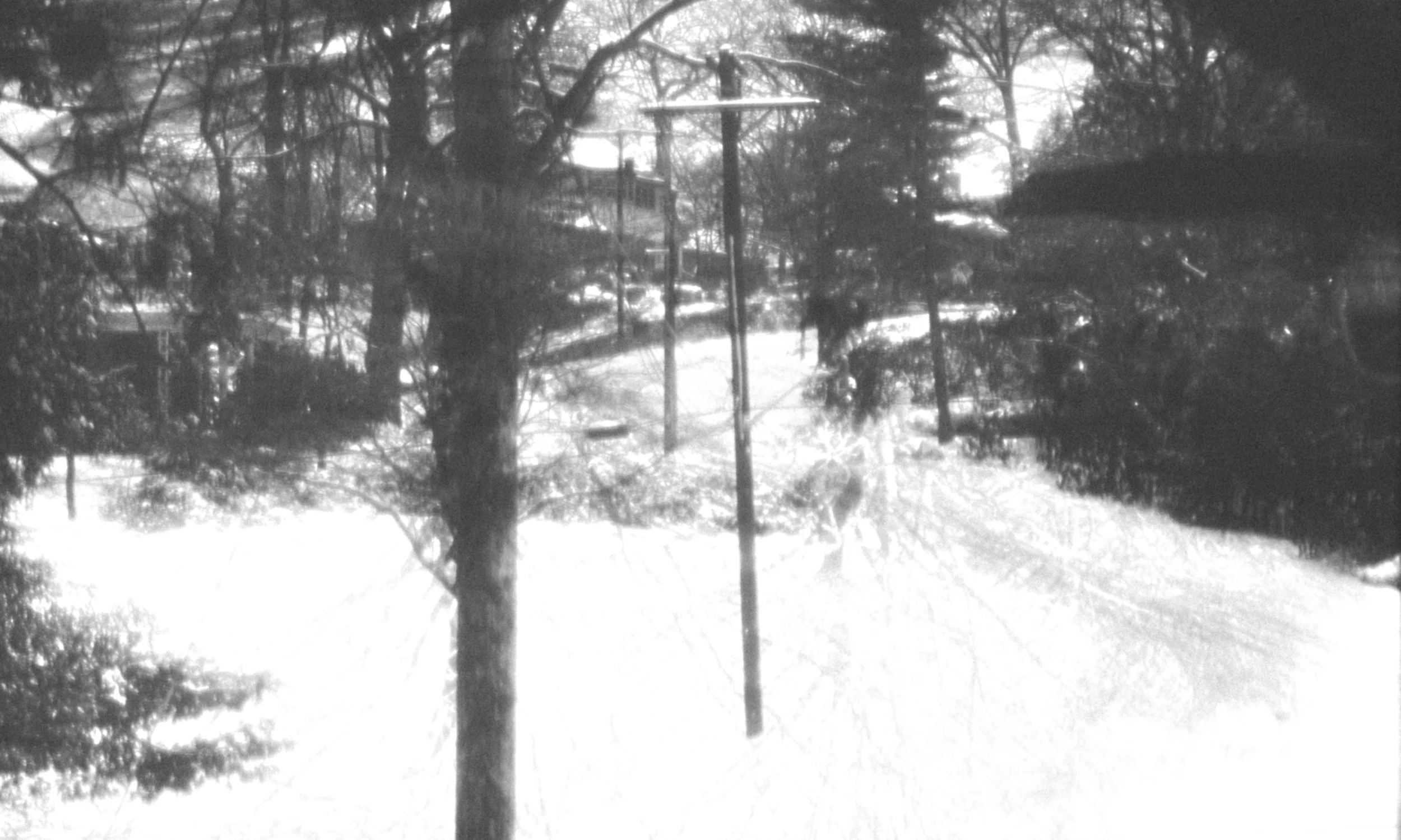 echoes-post-snow.jpg
