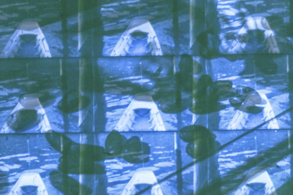 BarrenWoman-Seismographs-HEYDT.jpg