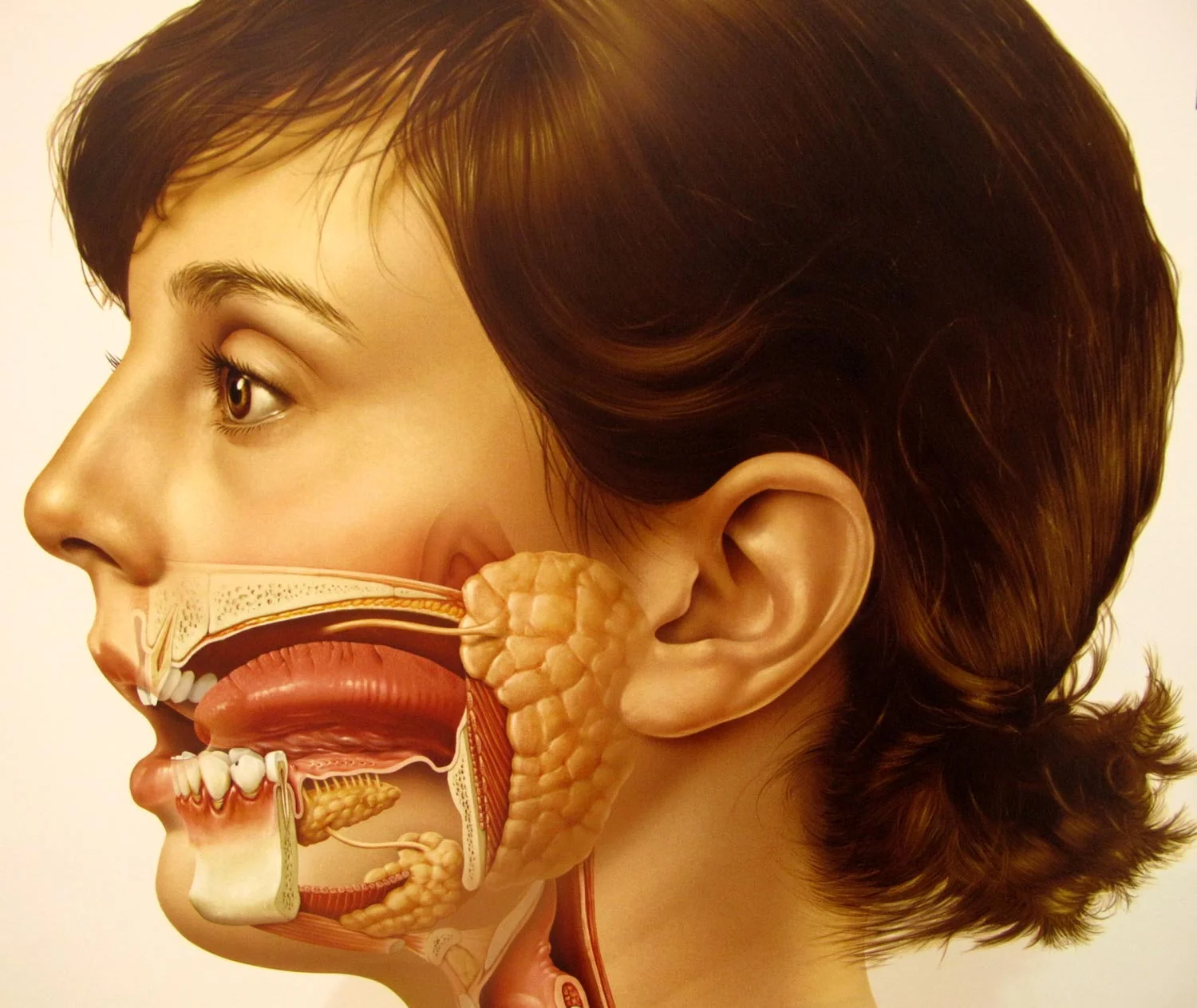 Skin_Deep09.jpg