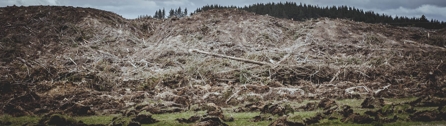 Deforestation-NewZealand-2016-HEYDT-735.jpg