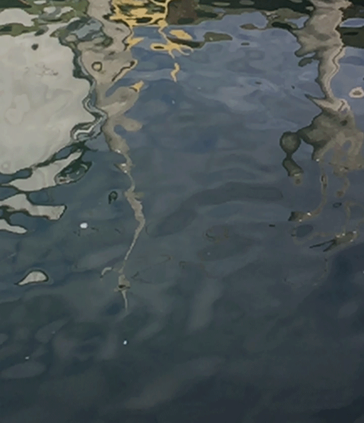 water-2.gif
