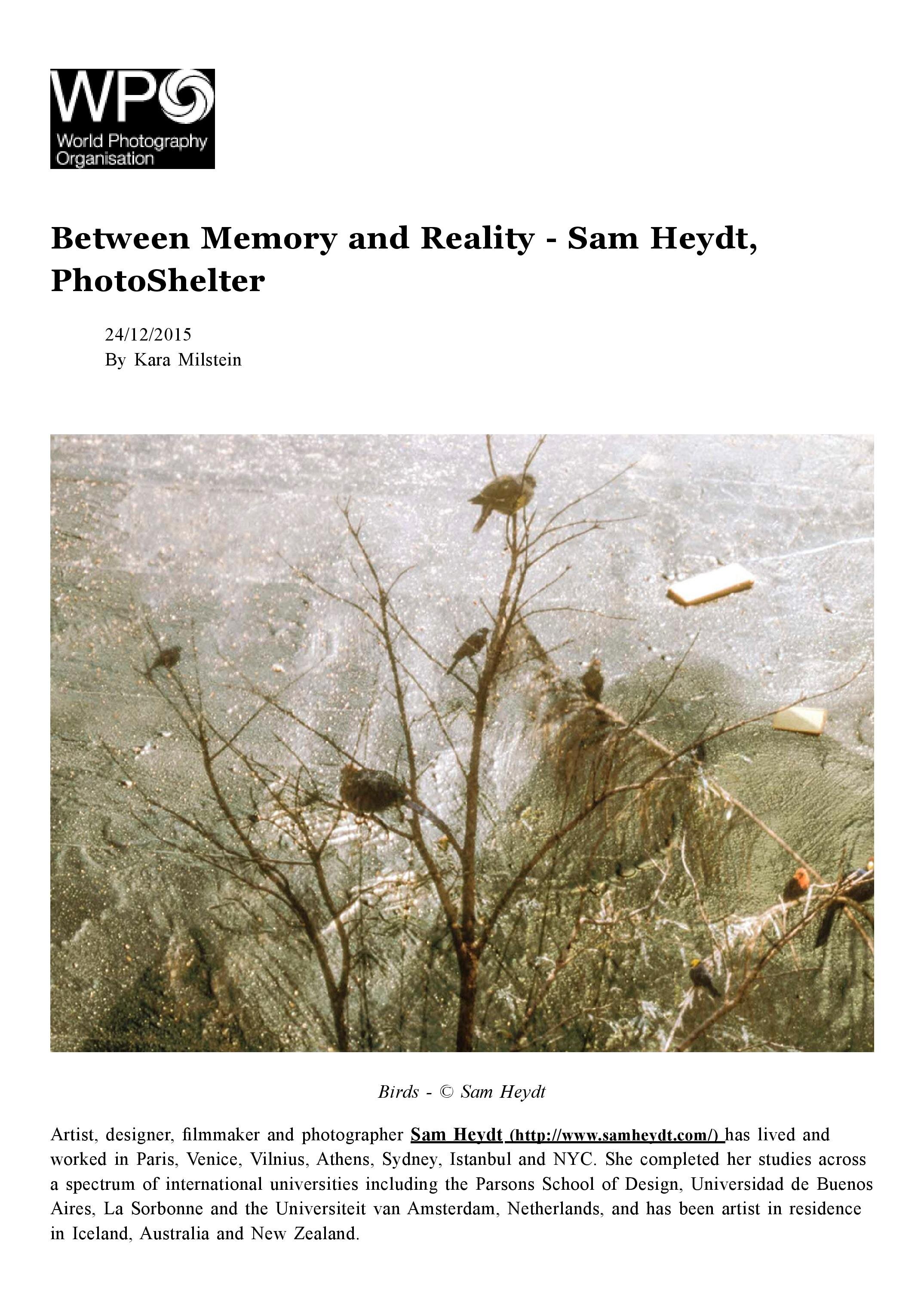 Between Memory and Reality - WPO-page-001.jpg