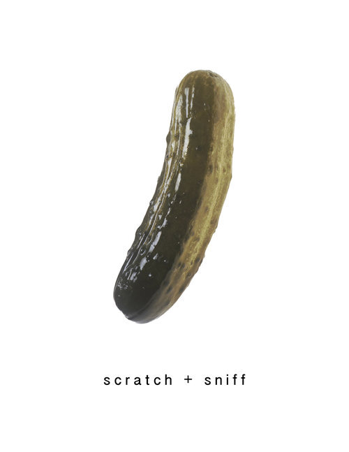 Scratch2BSniff-HEYDT-6.jpg